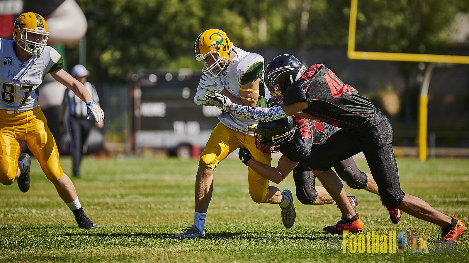 Düsseldorf Panther U19 vs. Cologne Crocodiles U19 - DPantherU19VsCologneCrocodilesU19
