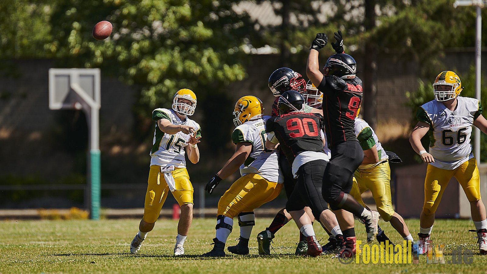 Düsseldorf Panther U19 vs. Cologne Crocodiles U19 - DPantherU19VsCologneCrocodilesU19
