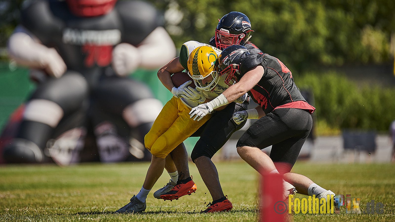 Düsseldorf Panther U19 vs. Cologne Crocodiles U19 - DPantherU19VsCologneCrocodilesU19