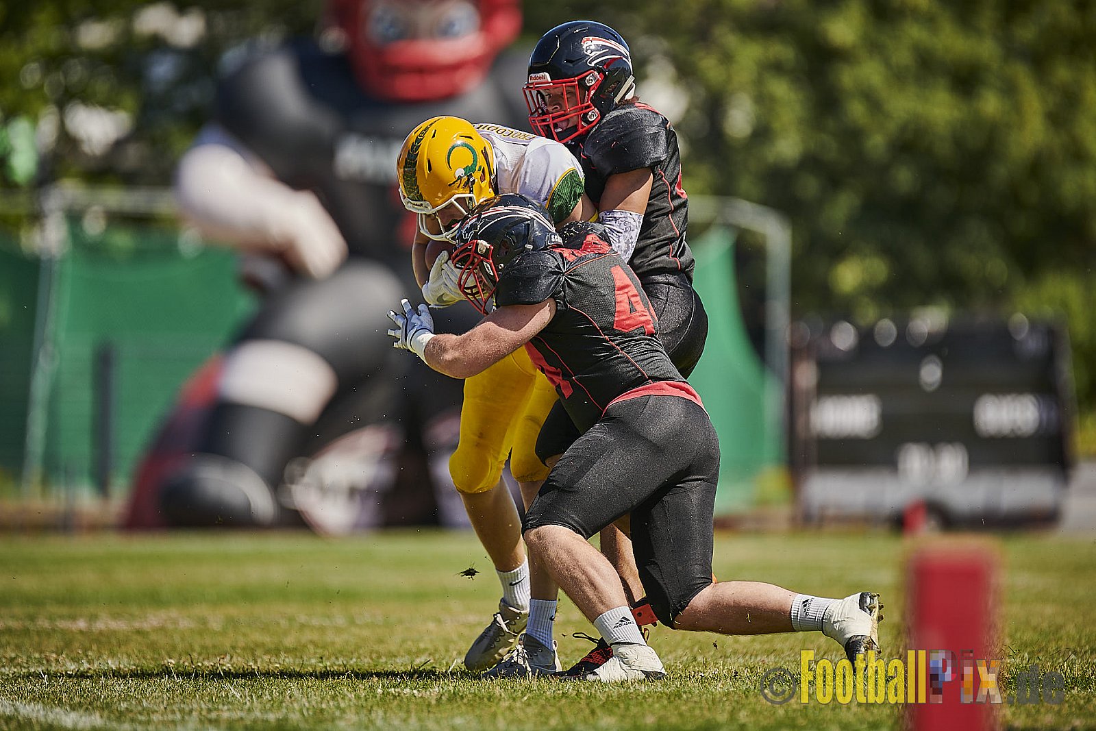 Düsseldorf Panther U19 vs. Cologne Crocodiles U19 - DPantherU19VsCologneCrocodilesU19