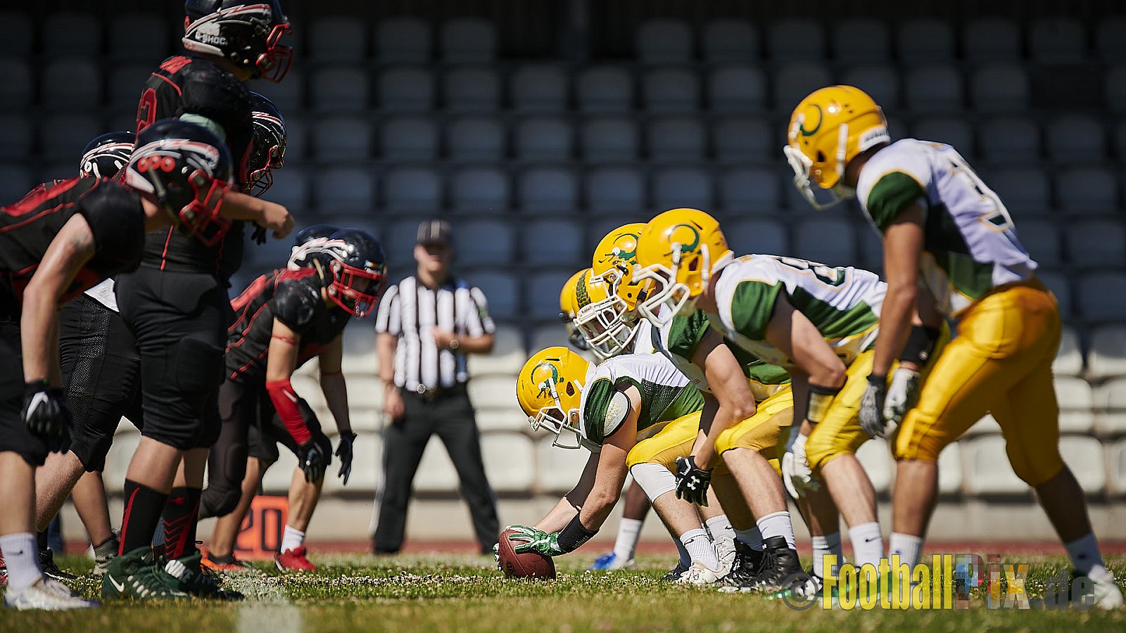 Düsseldorf Panther U19 vs. Cologne Crocodiles U19 - DPantherU19VsCologneCrocodilesU19