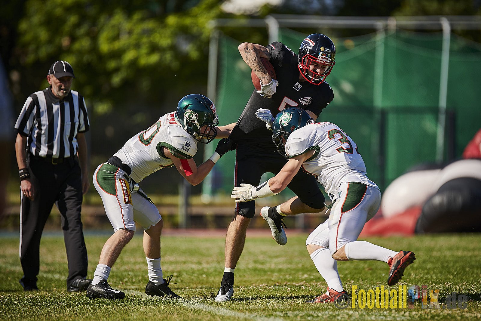 Düsseldorf Panther vs. Kiel Baltic Hurricanes - DPantherVsKielBalticHurricanes