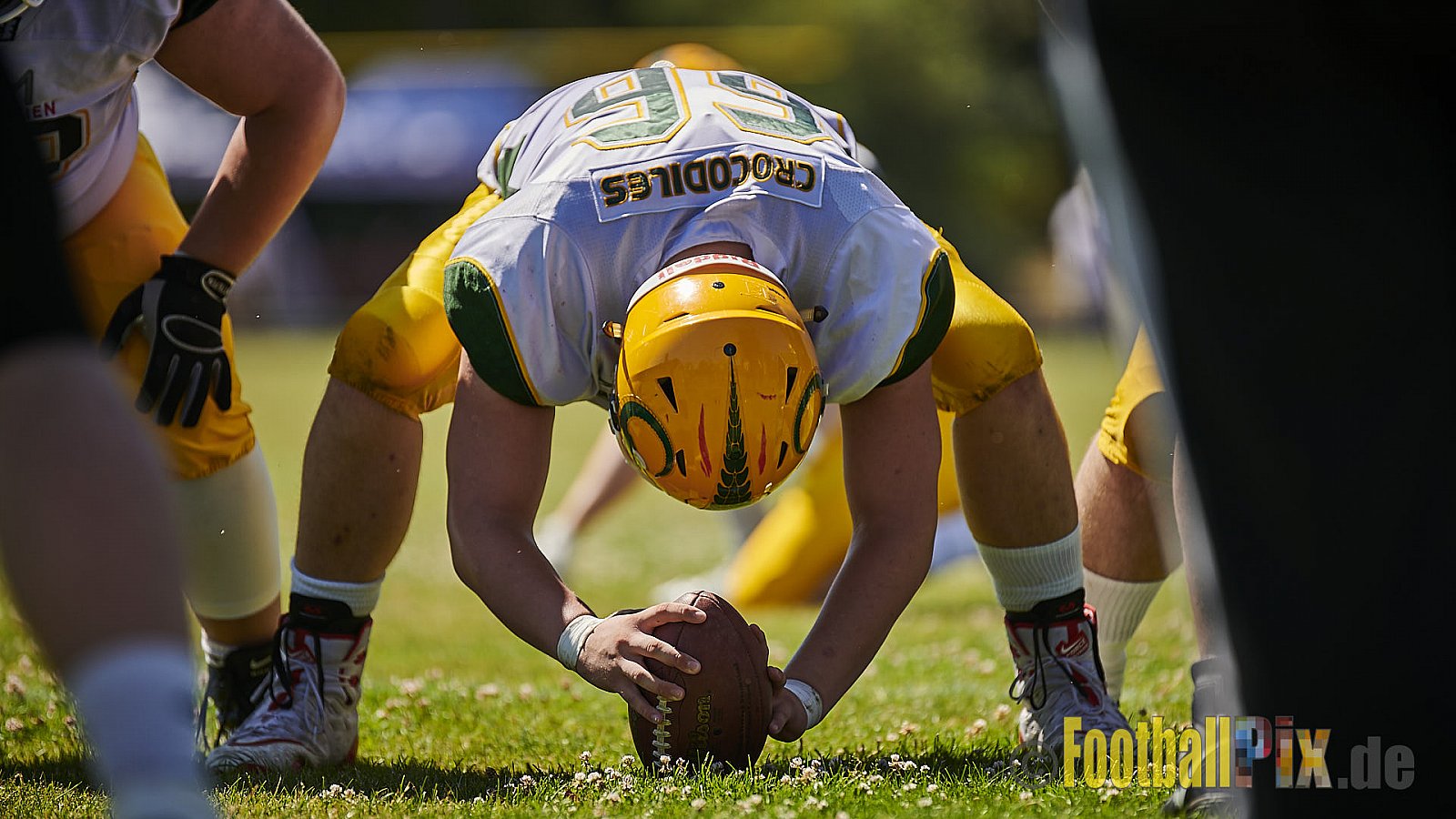 Düsseldorf Panther U19 vs. Cologne Crocodiles U19 - DPantherU19VsCologneCrocodilesU19