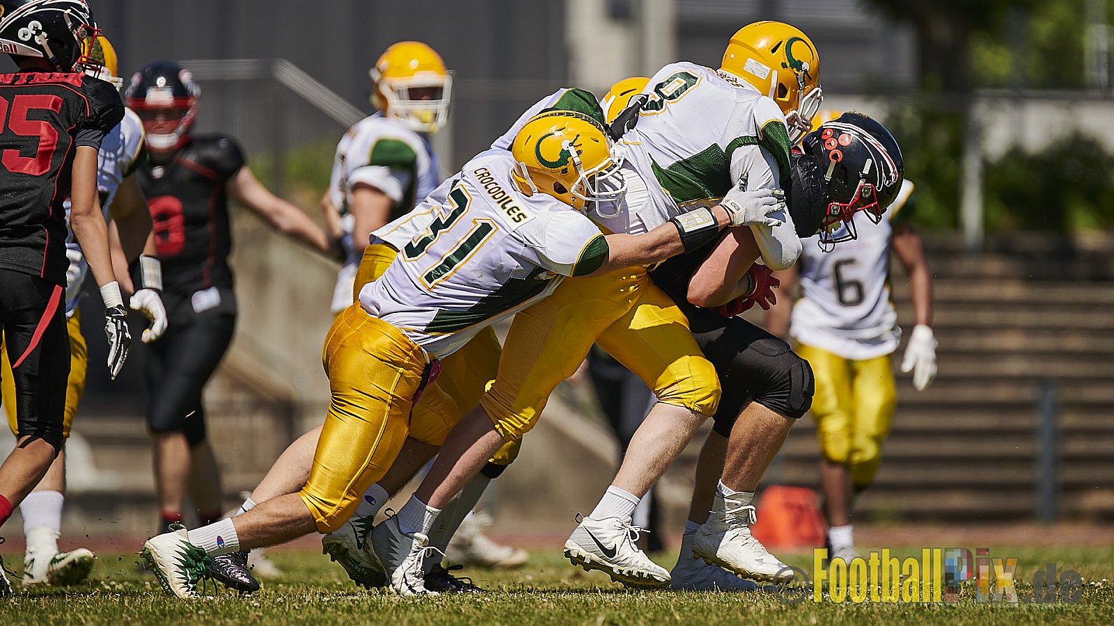 Düsseldorf Panther U19 vs. Cologne Crocodiles U19 - DPantherU19VsCologneCrocodilesU19