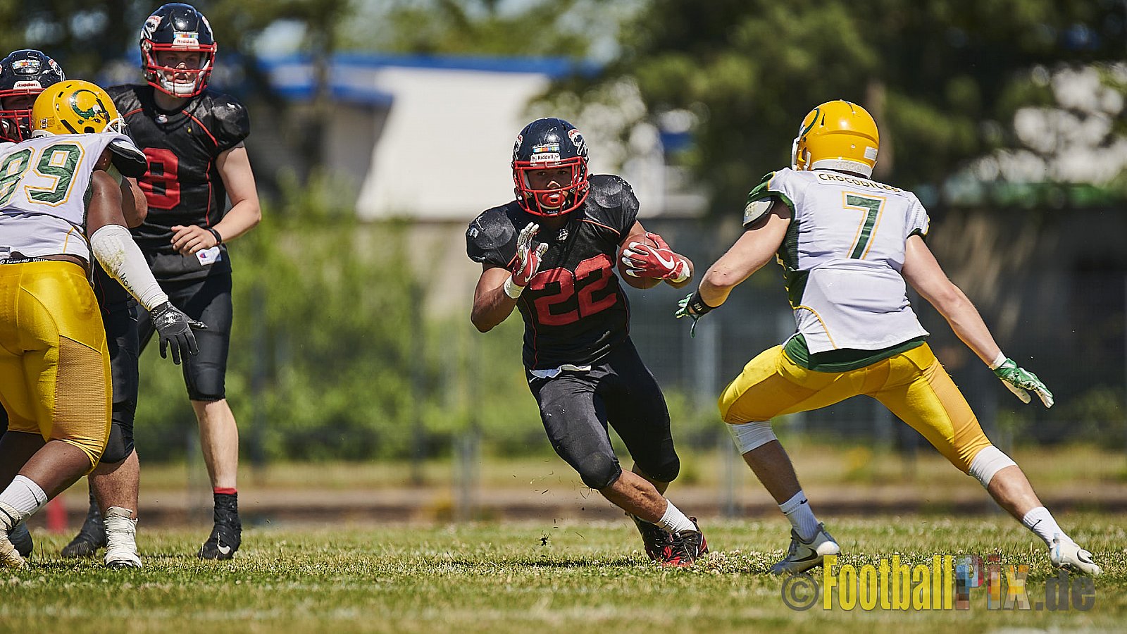 Düsseldorf Panther U19 vs. Cologne Crocodiles U19 - DPantherU19VsCologneCrocodilesU19