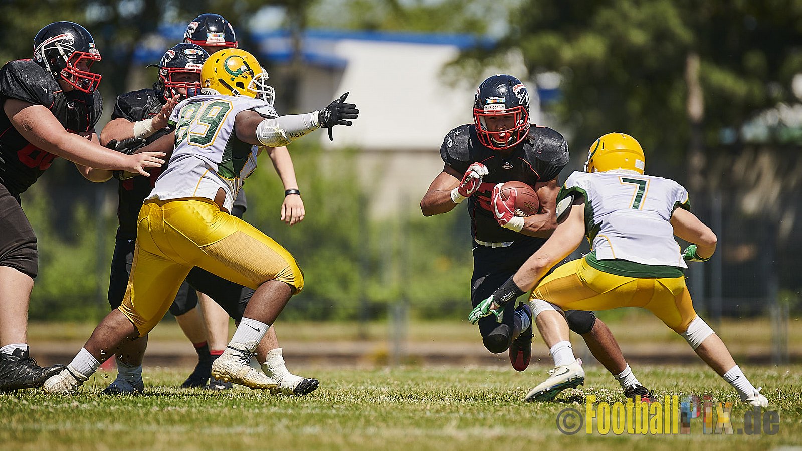 Düsseldorf Panther U19 vs. Cologne Crocodiles U19 - DPantherU19VsCologneCrocodilesU19