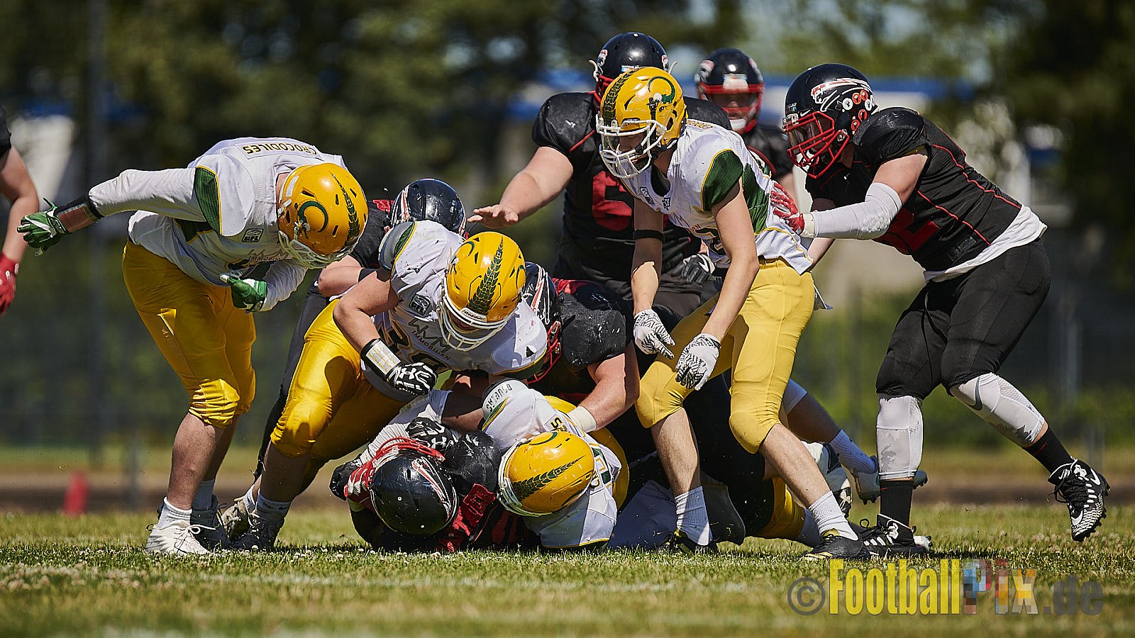 Düsseldorf Panther U19 vs. Cologne Crocodiles U19 - DPantherU19VsCologneCrocodilesU19