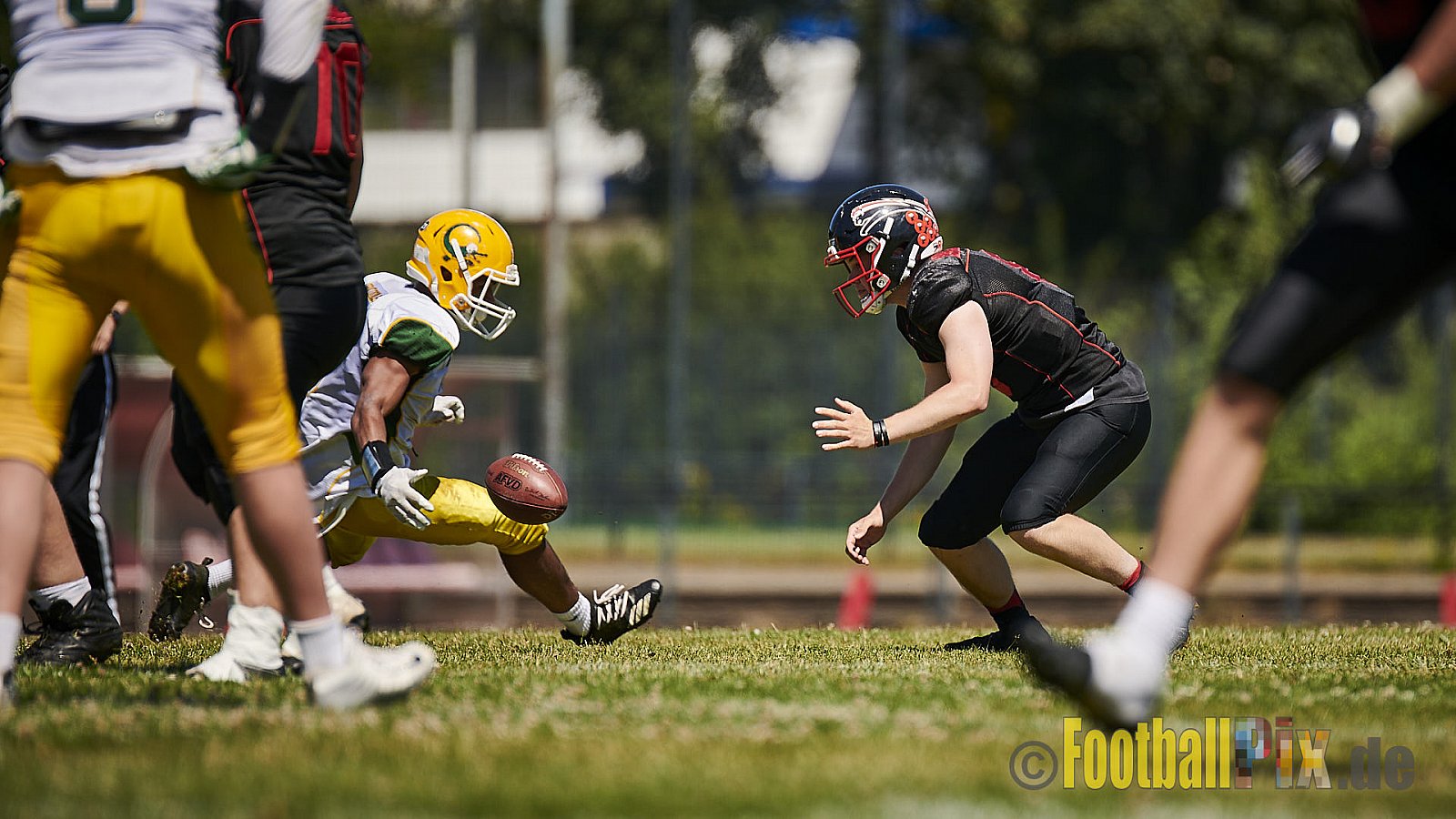Düsseldorf Panther U19 vs. Cologne Crocodiles U19 - DPantherU19VsCologneCrocodilesU19