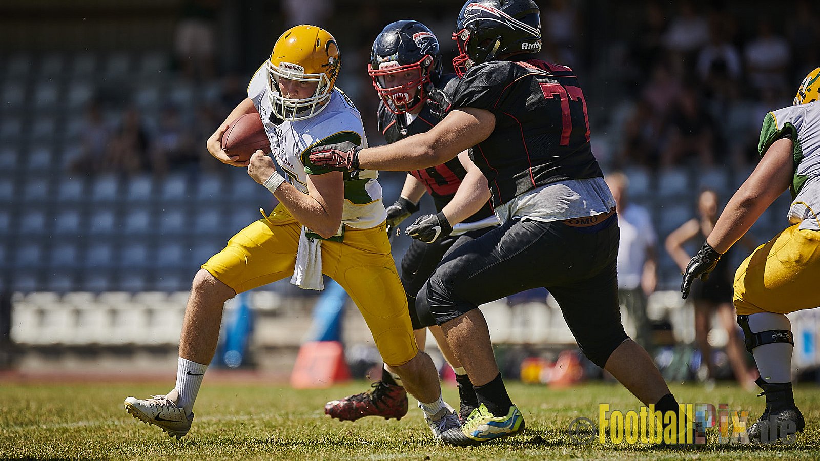 Düsseldorf Panther U19 vs. Cologne Crocodiles U19 - DPantherU19VsCologneCrocodilesU19