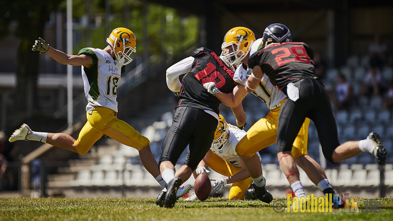 Düsseldorf Panther U19 vs. Cologne Crocodiles U19 - DPantherU19VsCologneCrocodilesU19