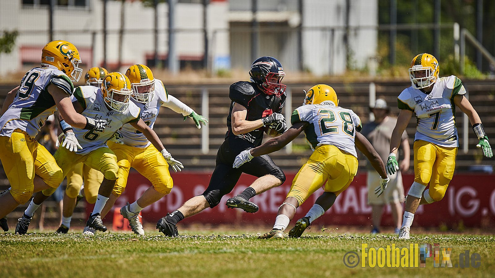 Düsseldorf Panther U19 vs. Cologne Crocodiles U19 - DPantherU19VsCologneCrocodilesU19