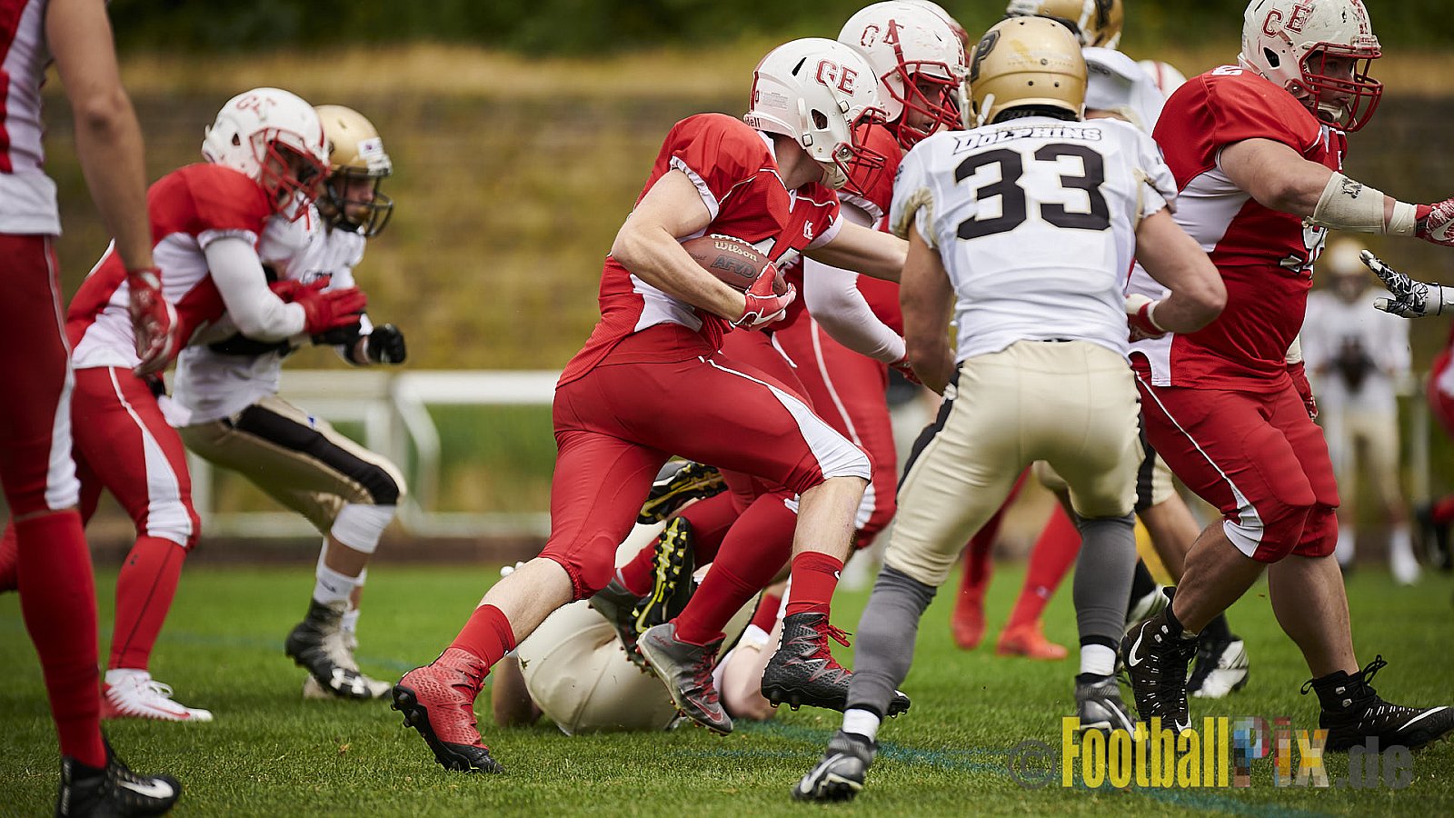 Gelsenkirchen Devils vs. Paderborn Dolphins - GelsenkirchenDevilsVsPaderbornDolphins