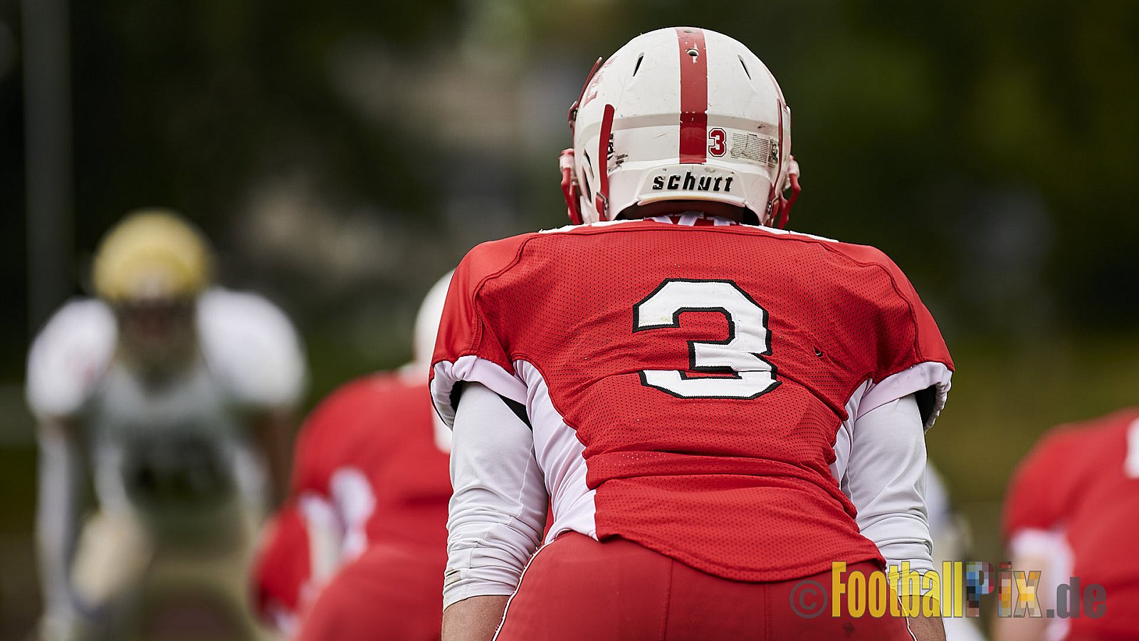 Gelsenkirchen Devils vs. Paderborn Dolphins - GelsenkirchenDevilsVsPaderbornDolphins