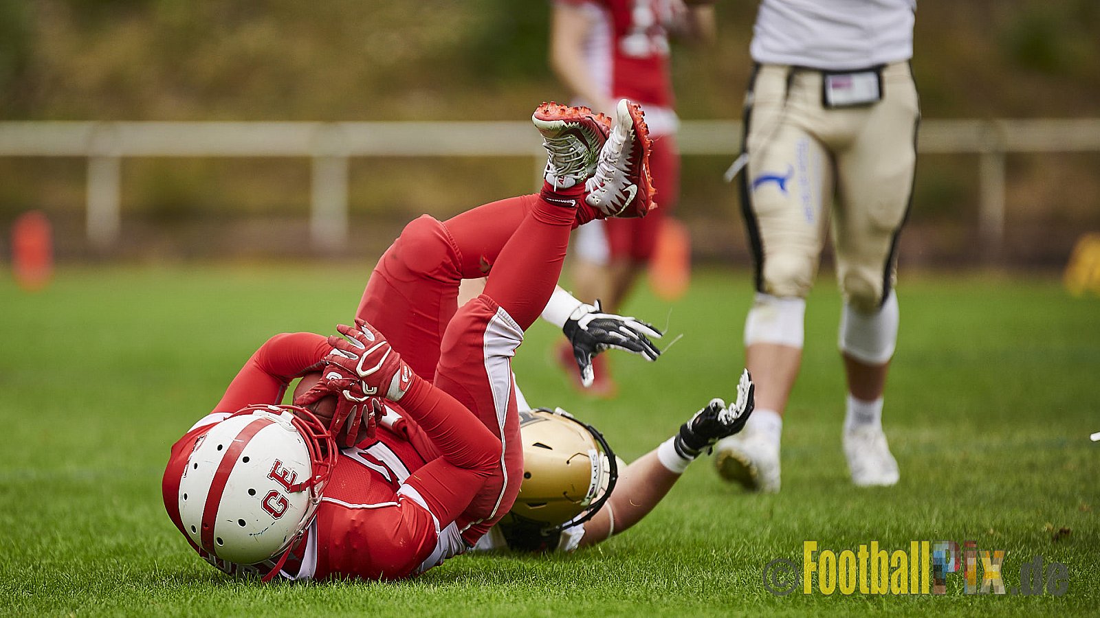 Gelsenkirchen Devils vs. Paderborn Dolphins - GelsenkirchenDevilsVsPaderbornDolphins