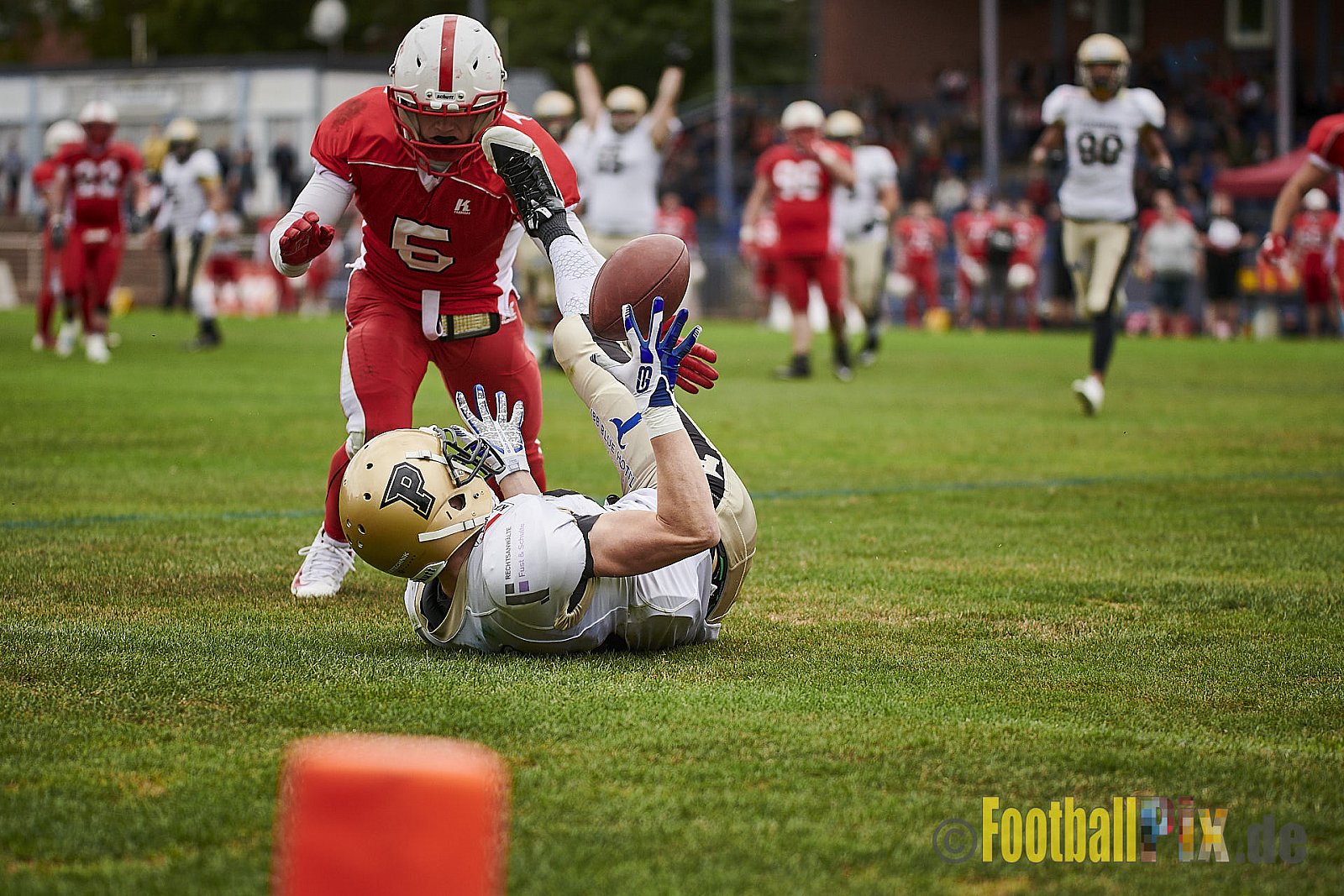 Gelsenkirchen Devils vs. Paderborn Dolphins - GelsenkirchenDevilsVsPaderbornDolphins