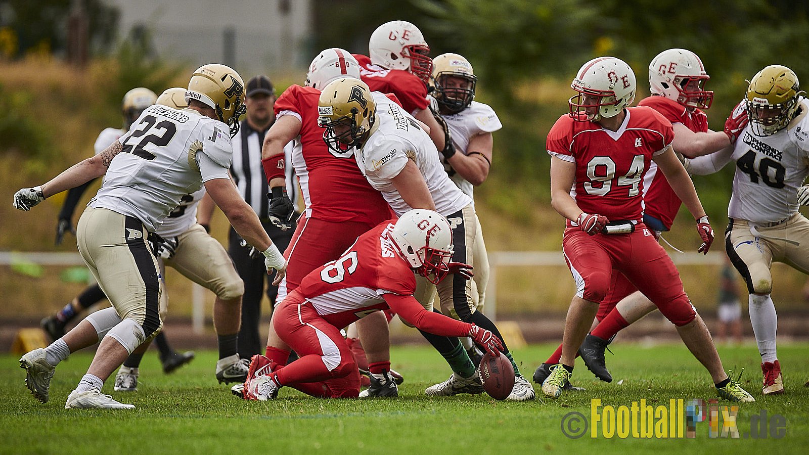 Gelsenkirchen Devils vs. Paderborn Dolphins - GelsenkirchenDevilsVsPaderbornDolphins