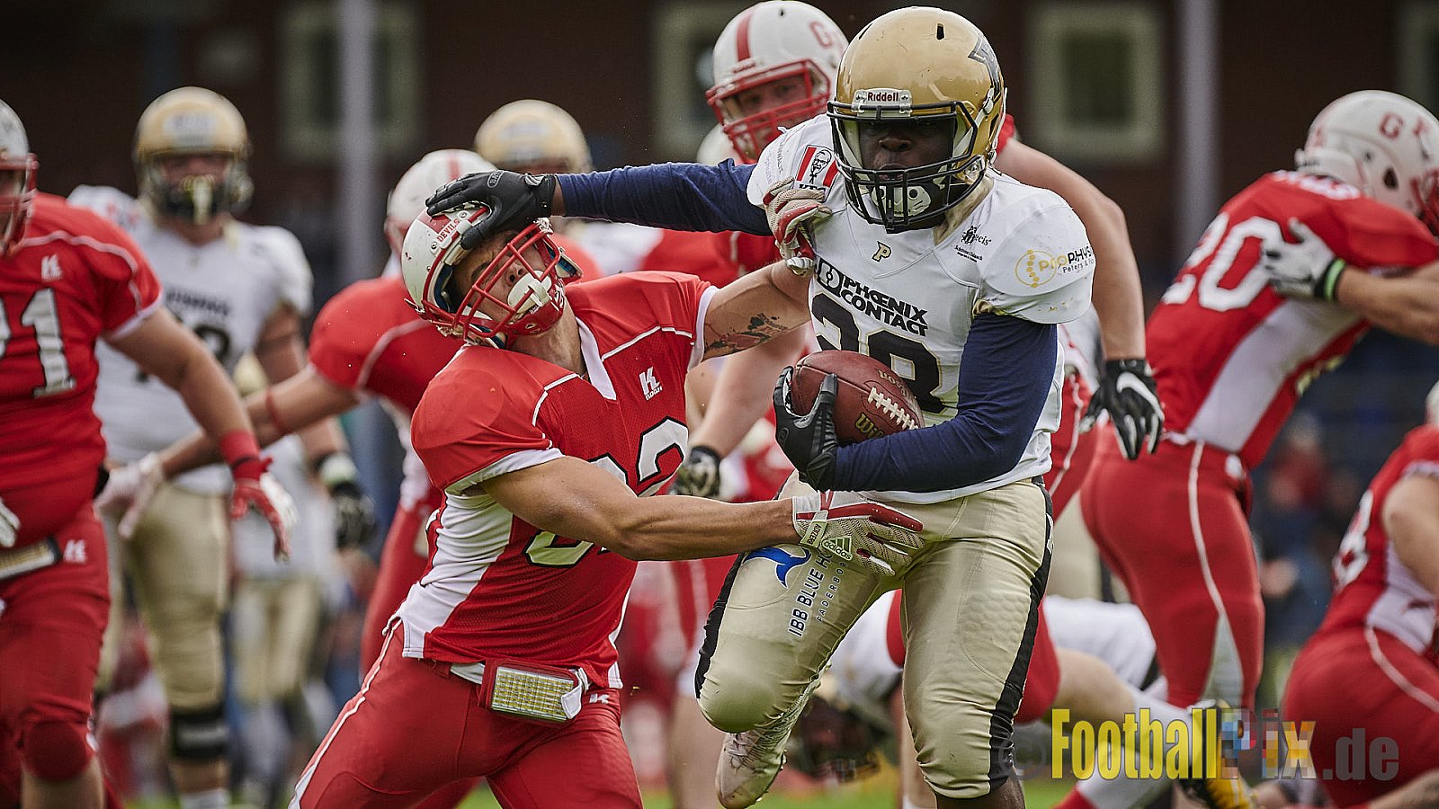 Gelsenkirchen Devils vs. Paderborn Dolphins - GelsenkirchenDevilsVsPaderbornDolphins
