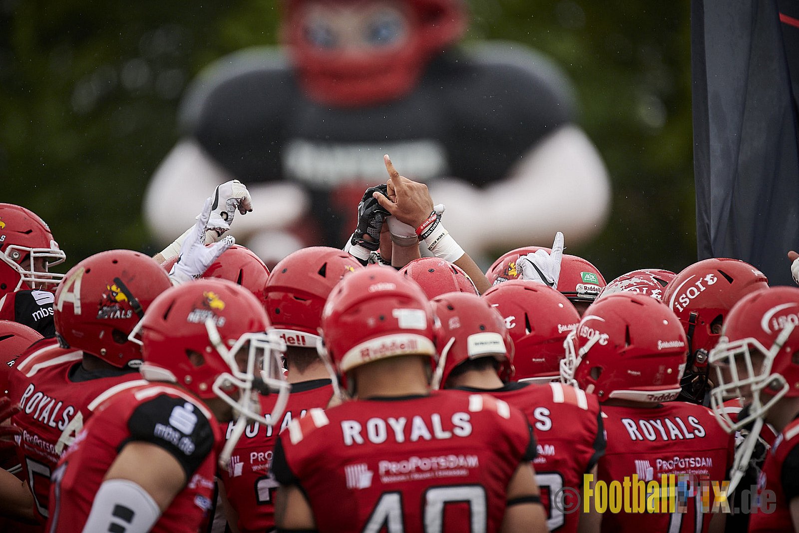 Düsseldorf Panther vs. Potsdam Royals - DPantherVsPotsdamRoyals