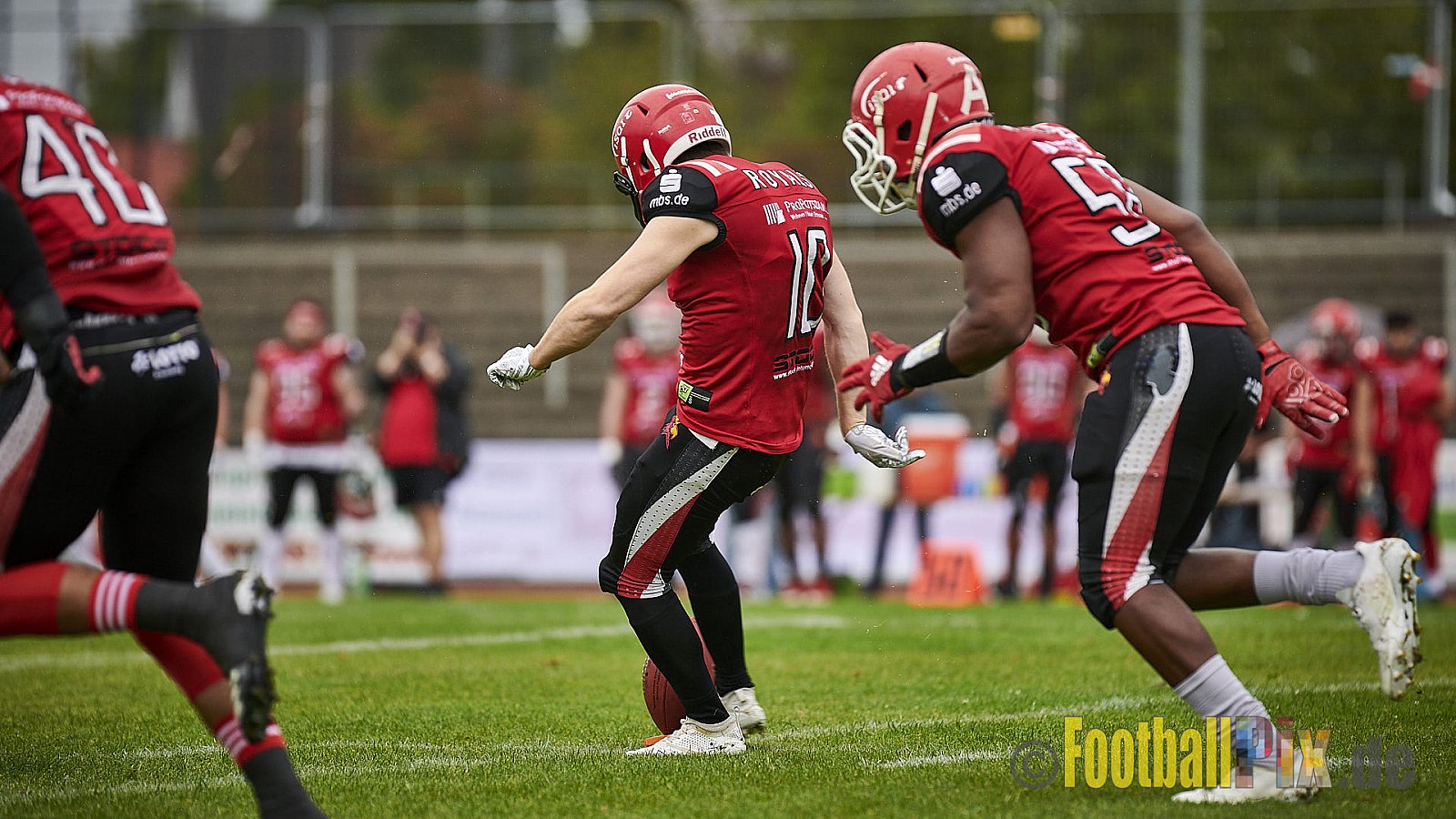 Düsseldorf Panther vs. Potsdam Royals - DPantherVsPotsdamRoyals