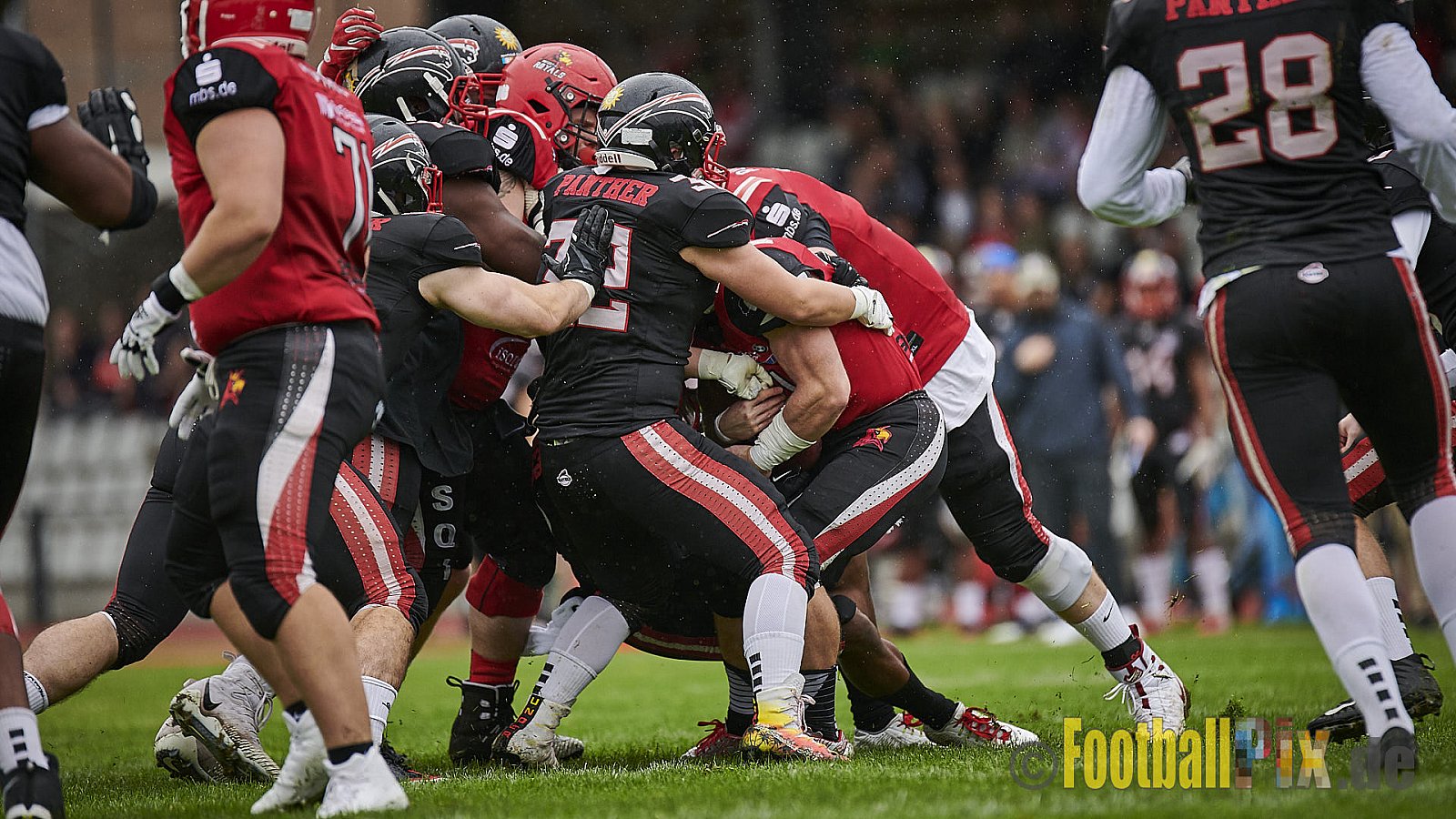 Düsseldorf Panther vs. Potsdam Royals - DPantherVsPotsdamRoyals