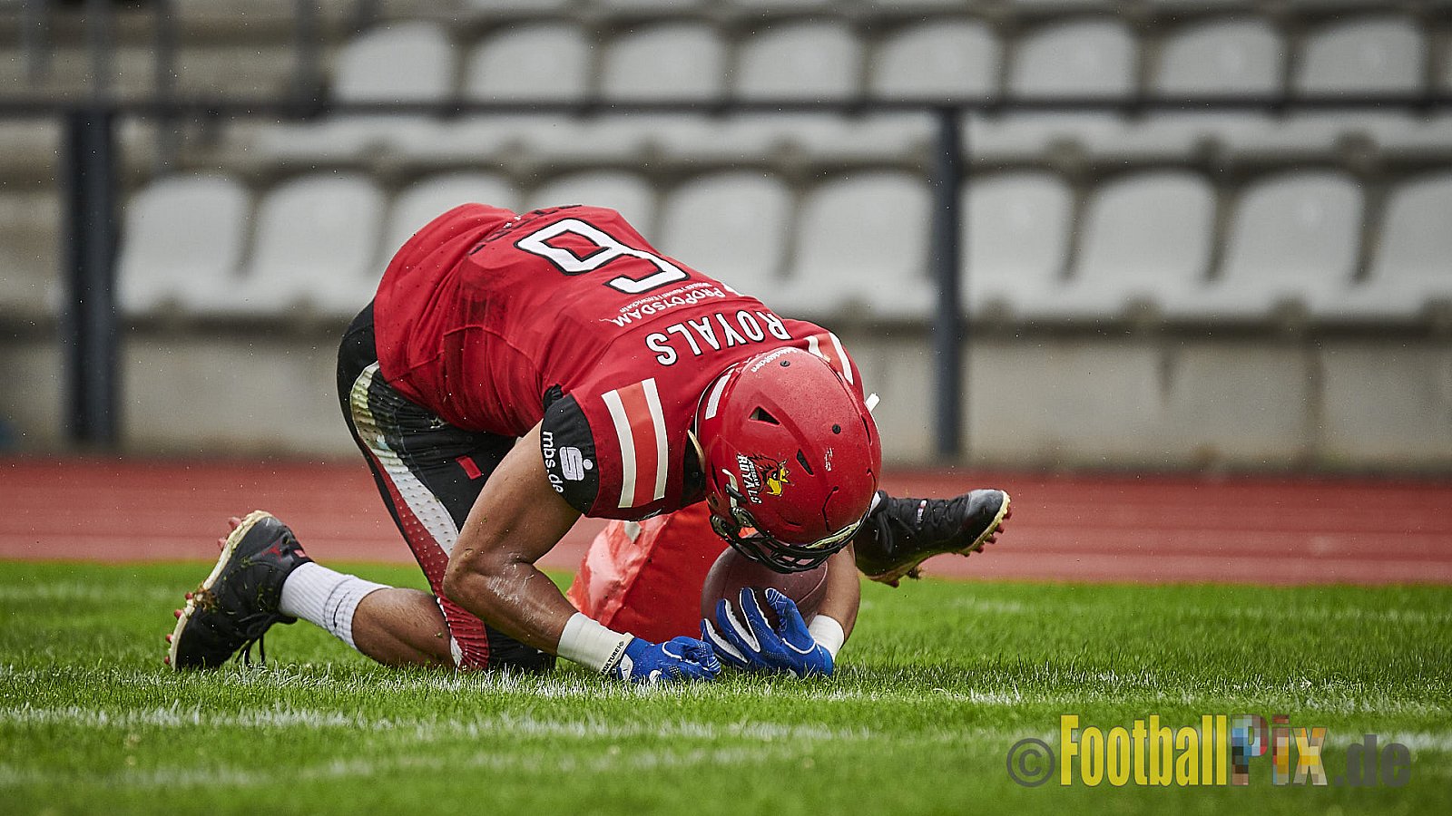 Düsseldorf Panther vs. Potsdam Royals - DPantherVsPotsdamRoyals