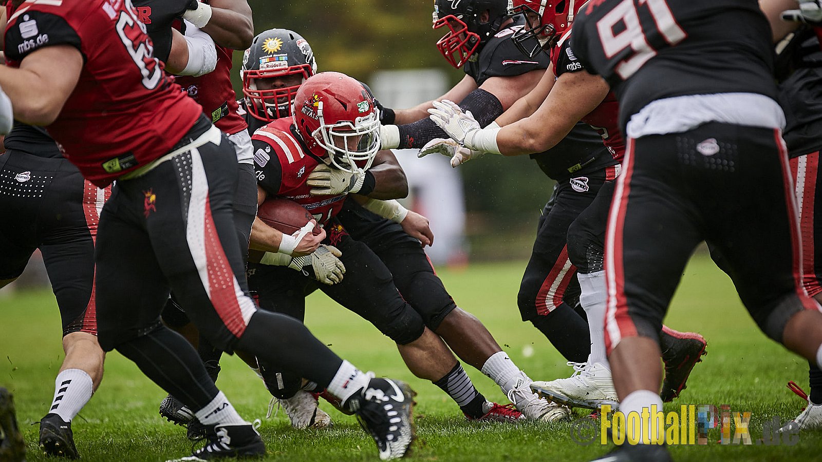 Düsseldorf Panther vs. Potsdam Royals - DPantherVsPotsdamRoyals