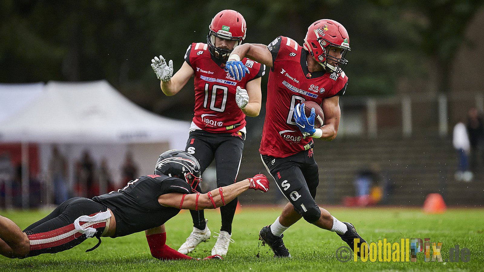 Düsseldorf Panther vs. Potsdam Royals - DPantherVsPotsdamRoyals