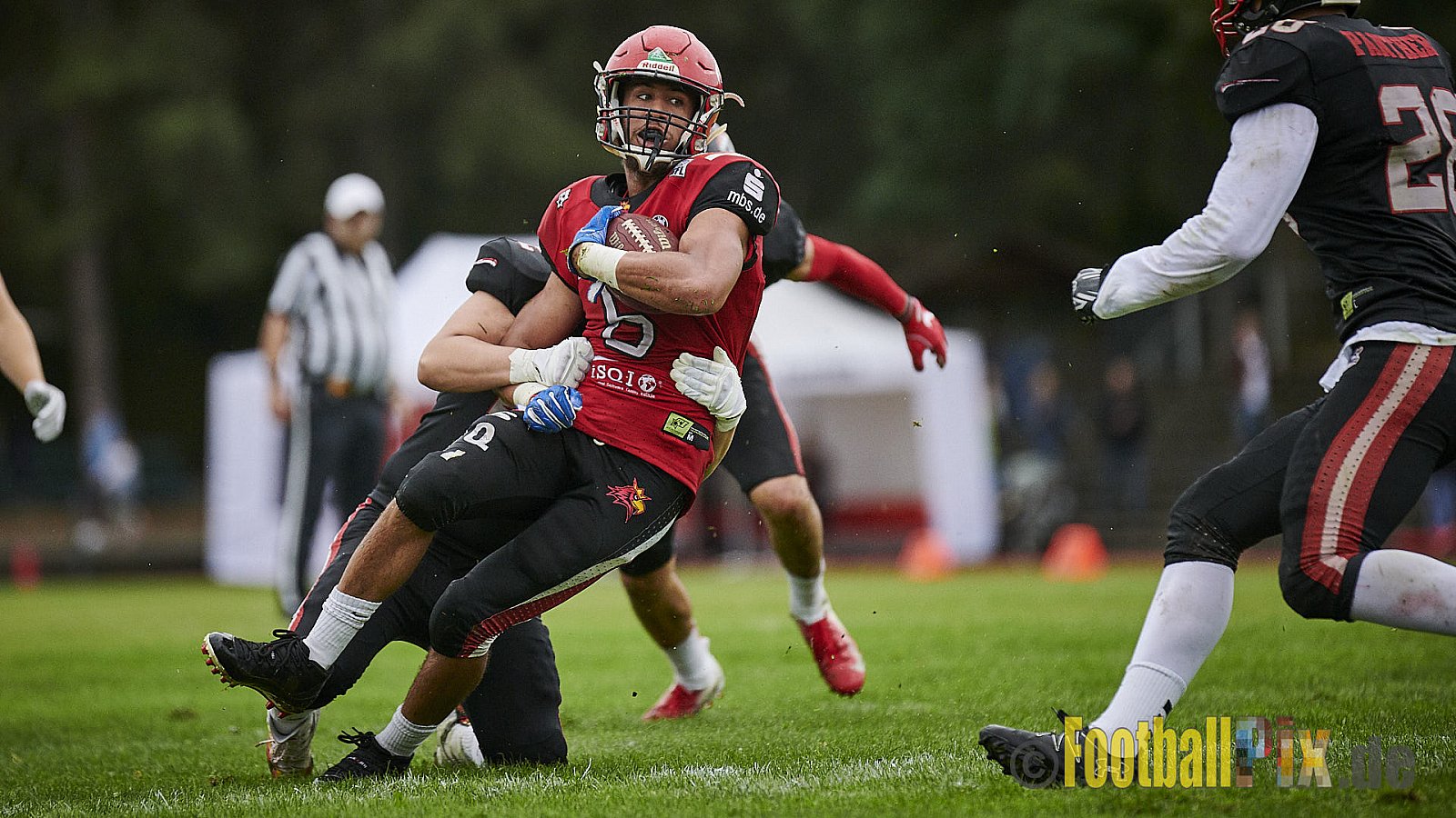 Düsseldorf Panther vs. Potsdam Royals - DPantherVsPotsdamRoyals