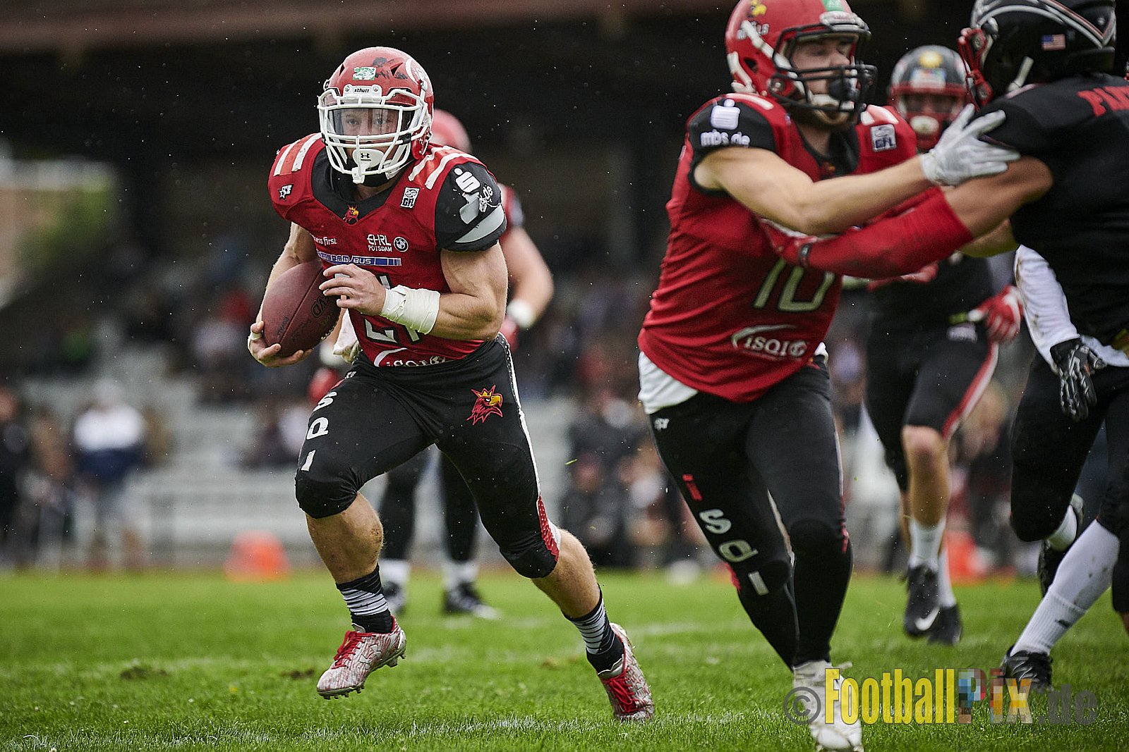 Düsseldorf Panther vs. Potsdam Royals - DPantherVsPotsdamRoyals