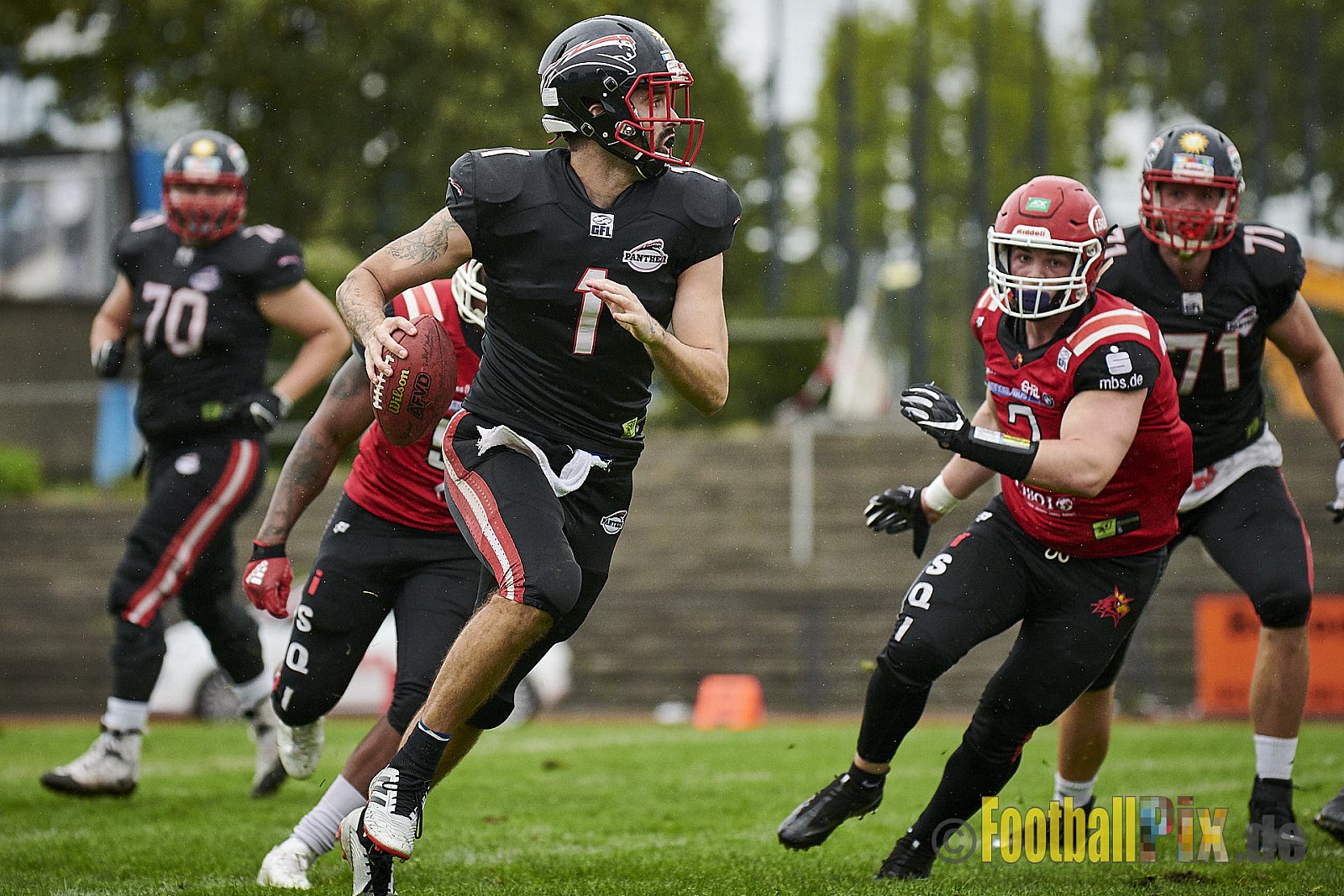 Düsseldorf Panther vs. Potsdam Royals - DPantherVsPotsdamRoyals