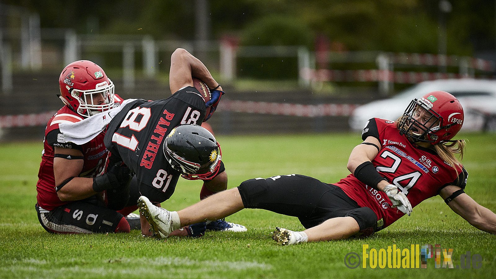 Düsseldorf Panther vs. Potsdam Royals - DPantherVsPotsdamRoyals