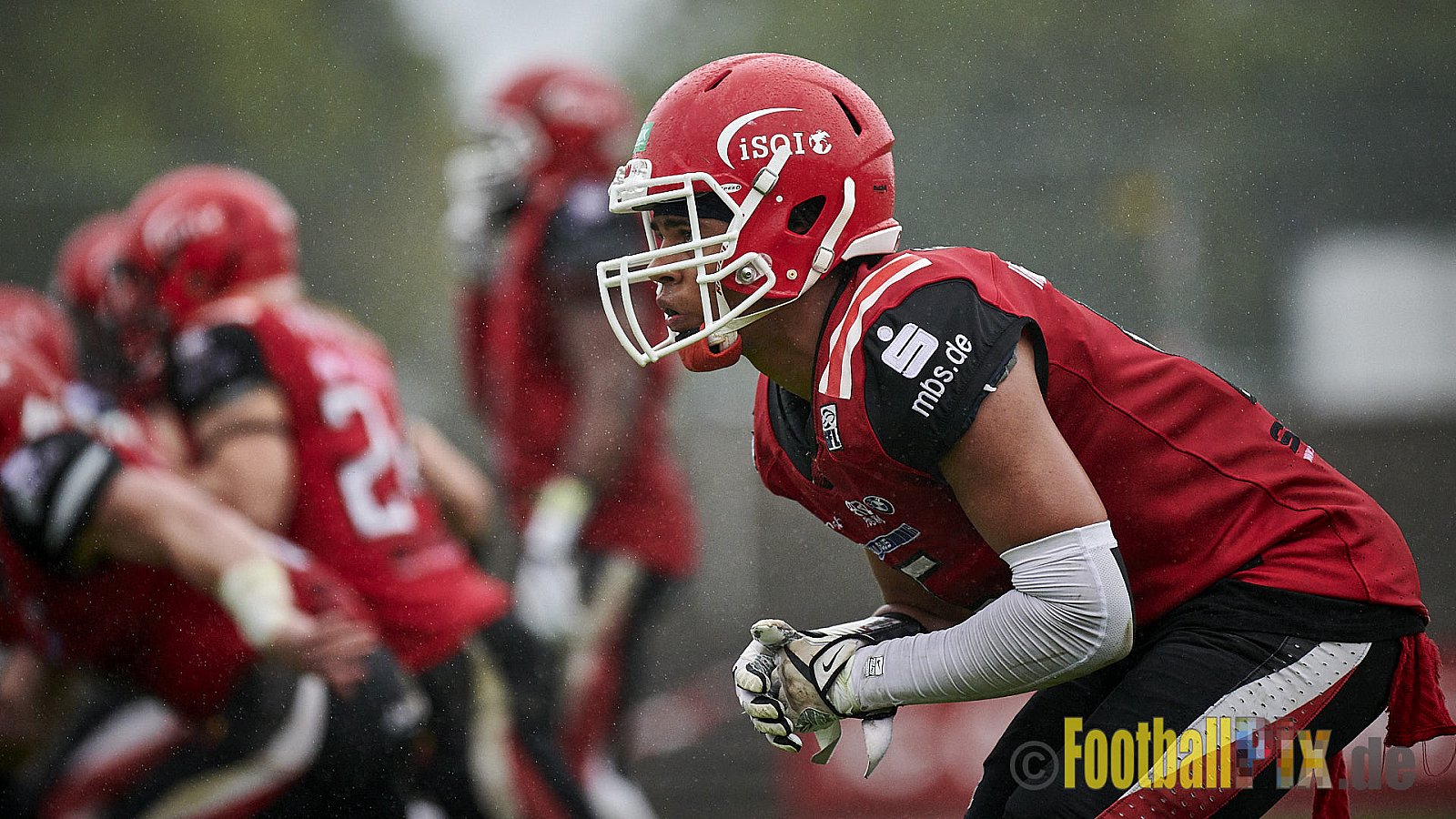 Düsseldorf Panther vs. Potsdam Royals - DPantherVsPotsdamRoyals