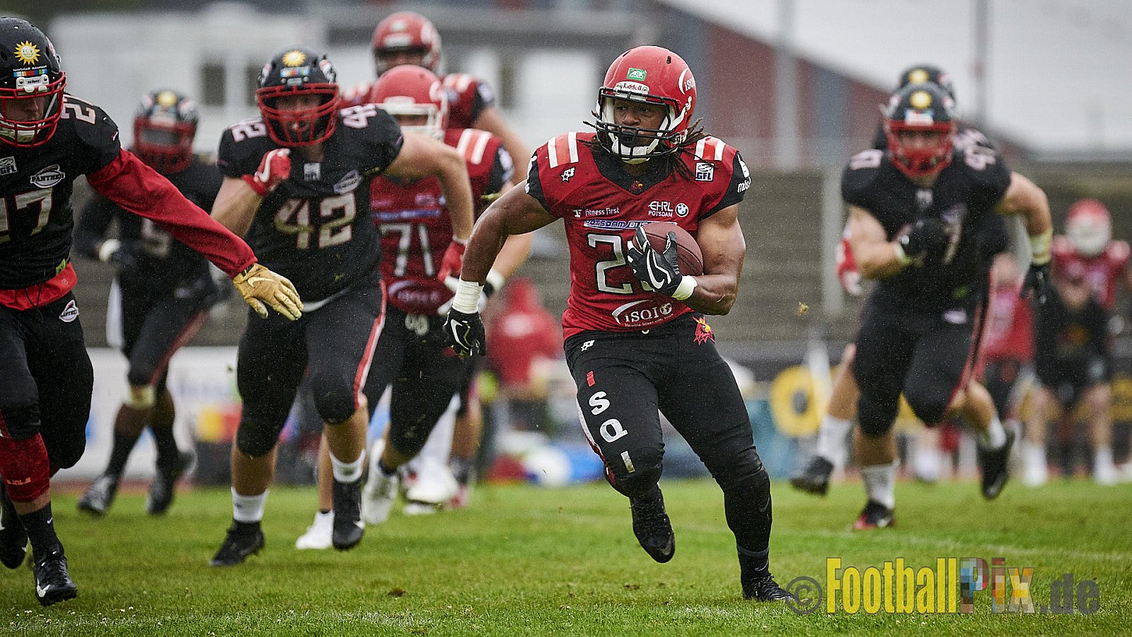 Düsseldorf Panther vs. Potsdam Royals - DPantherVsPotsdamRoyals