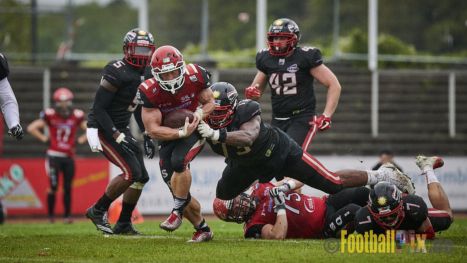 Düsseldorf Panther vs. Potsdam Royals - DPantherVsPotsdamRoyals