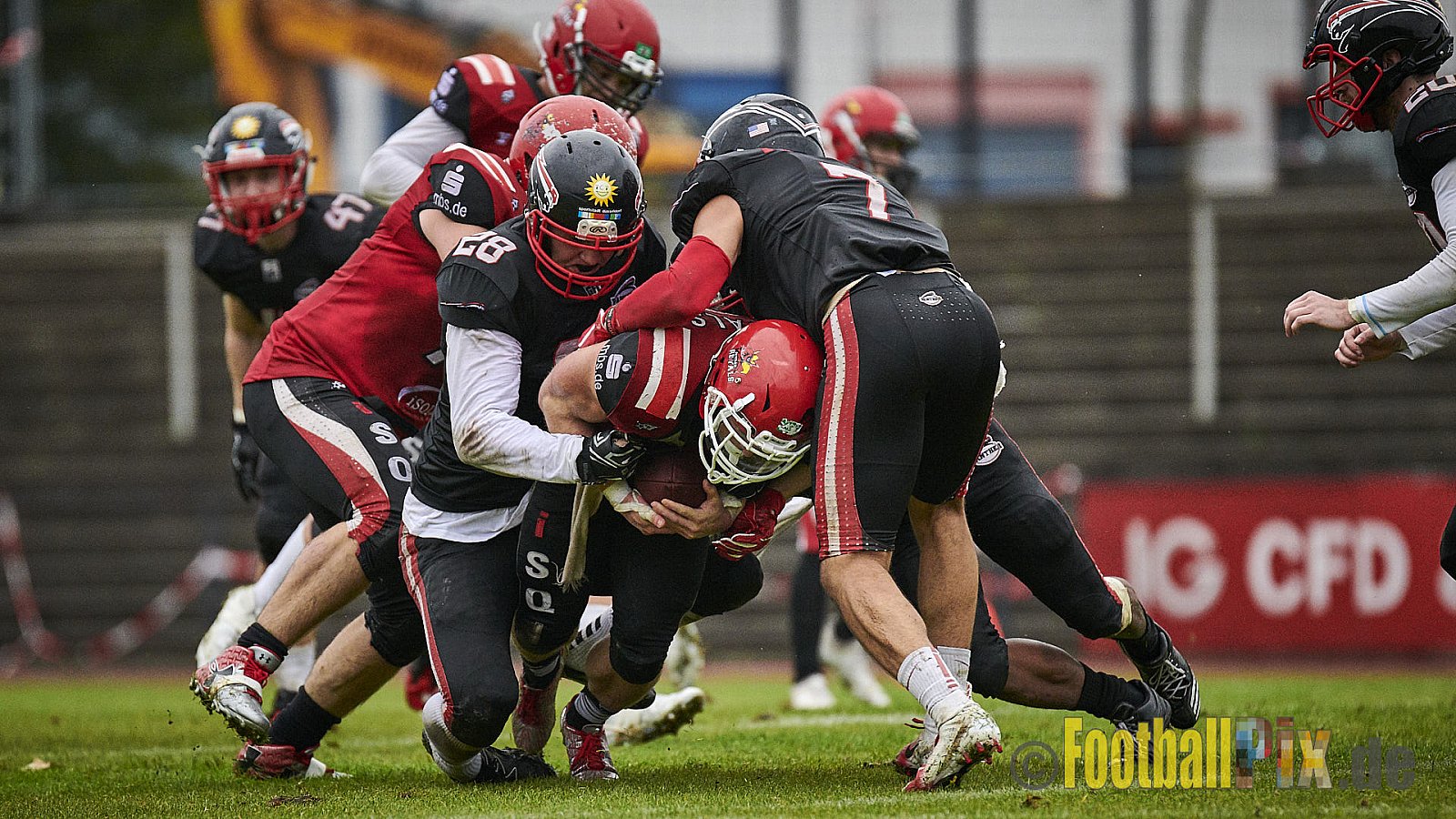 Düsseldorf Panther vs. Potsdam Royals - DPantherVsPotsdamRoyals