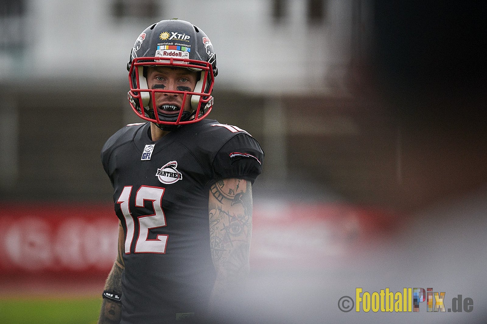 Düsseldorf Panther vs. Potsdam Royals - DPantherVsPotsdamRoyals