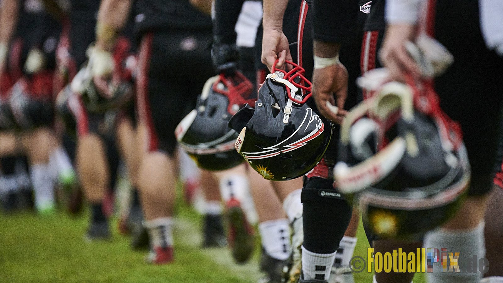 Düsseldorf Panther vs. Potsdam Royals - DPantherVsPotsdamRoyals
