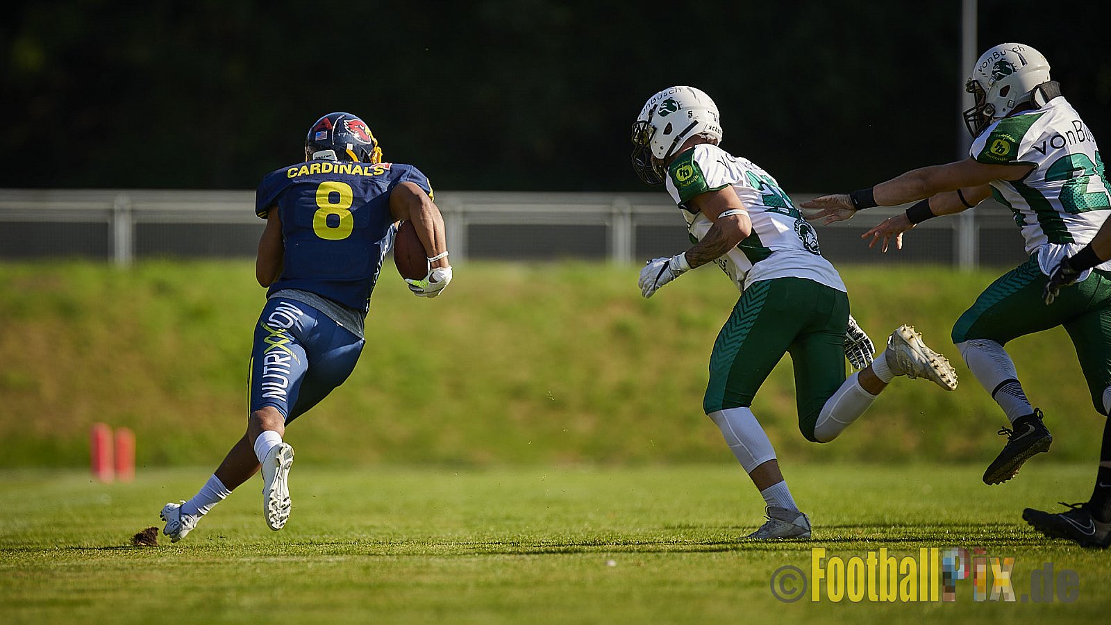 Essen Assindia Cardinals vs. Bielefeld Bulldogs - EssenAssindiaCardinalsVsBielefeldBulldogs