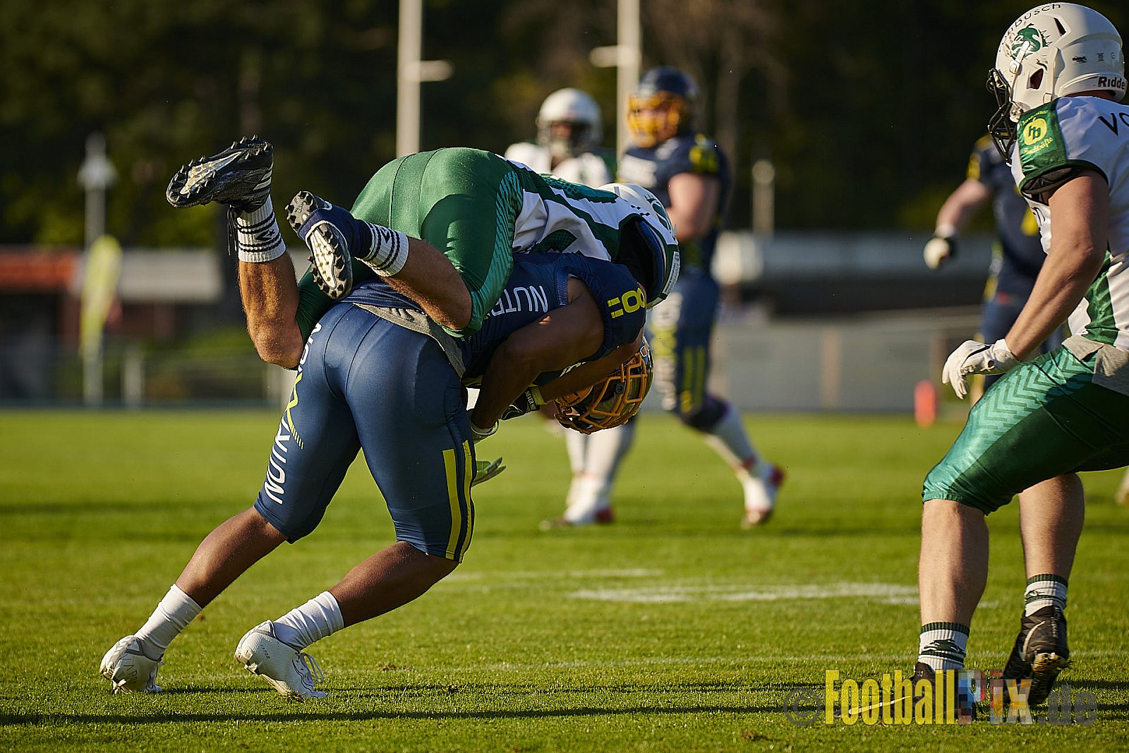 Essen Assindia Cardinals vs. Bielefeld Bulldogs - EssenAssindiaCardinalsVsBielefeldBulldogs
