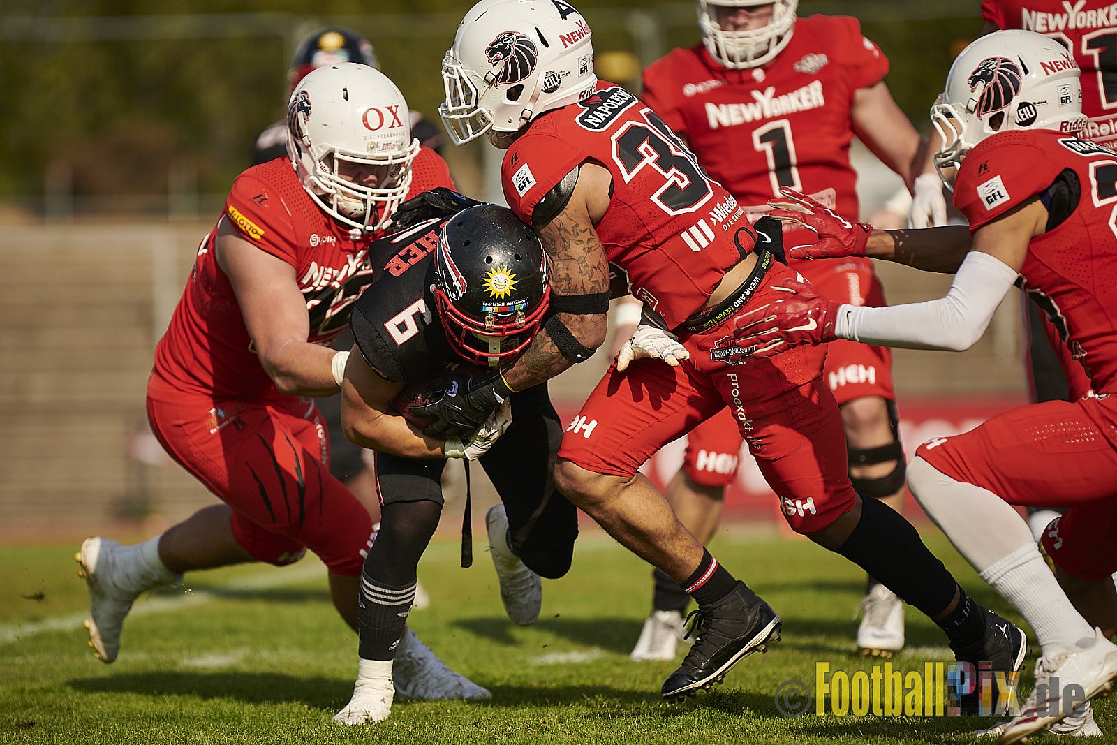 Düsseldorf Panther vs. New Yorker Lions - DPantherVsNewYorkerLions