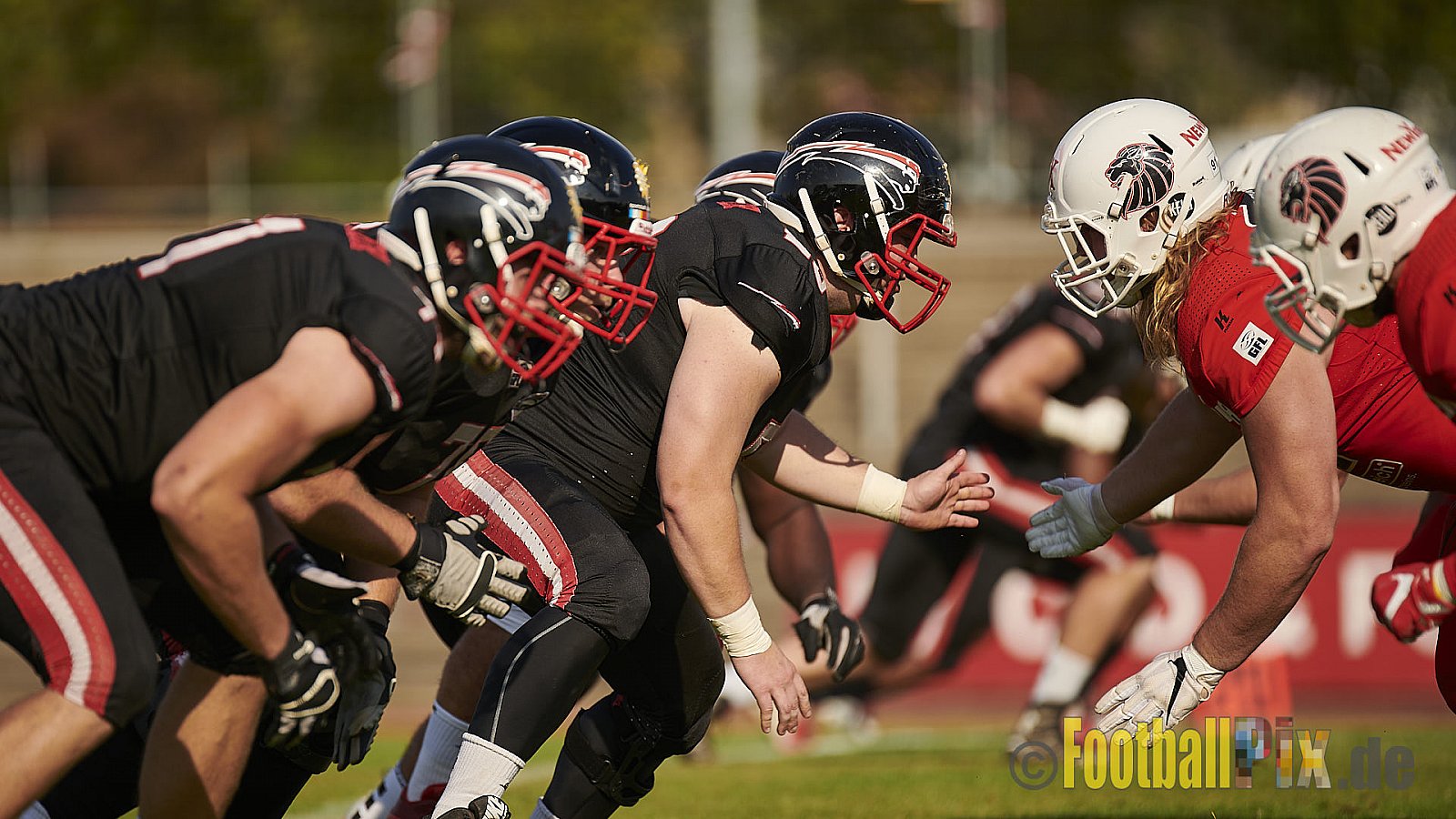 Düsseldorf Panther vs. New Yorker Lions - DPantherVsNewYorkerLions