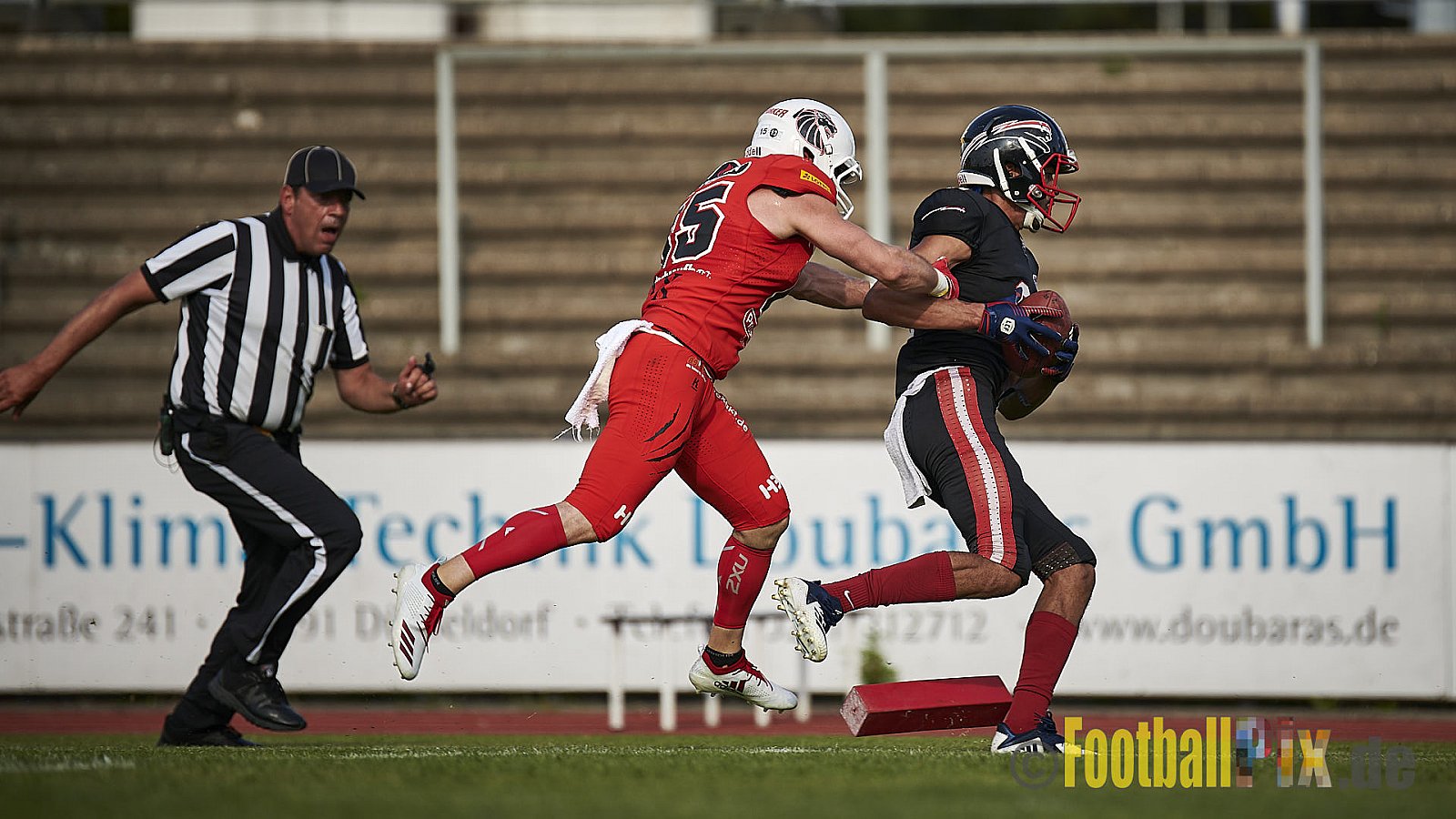 Düsseldorf Panther vs. New Yorker Lions - DPantherVsNewYorkerLions