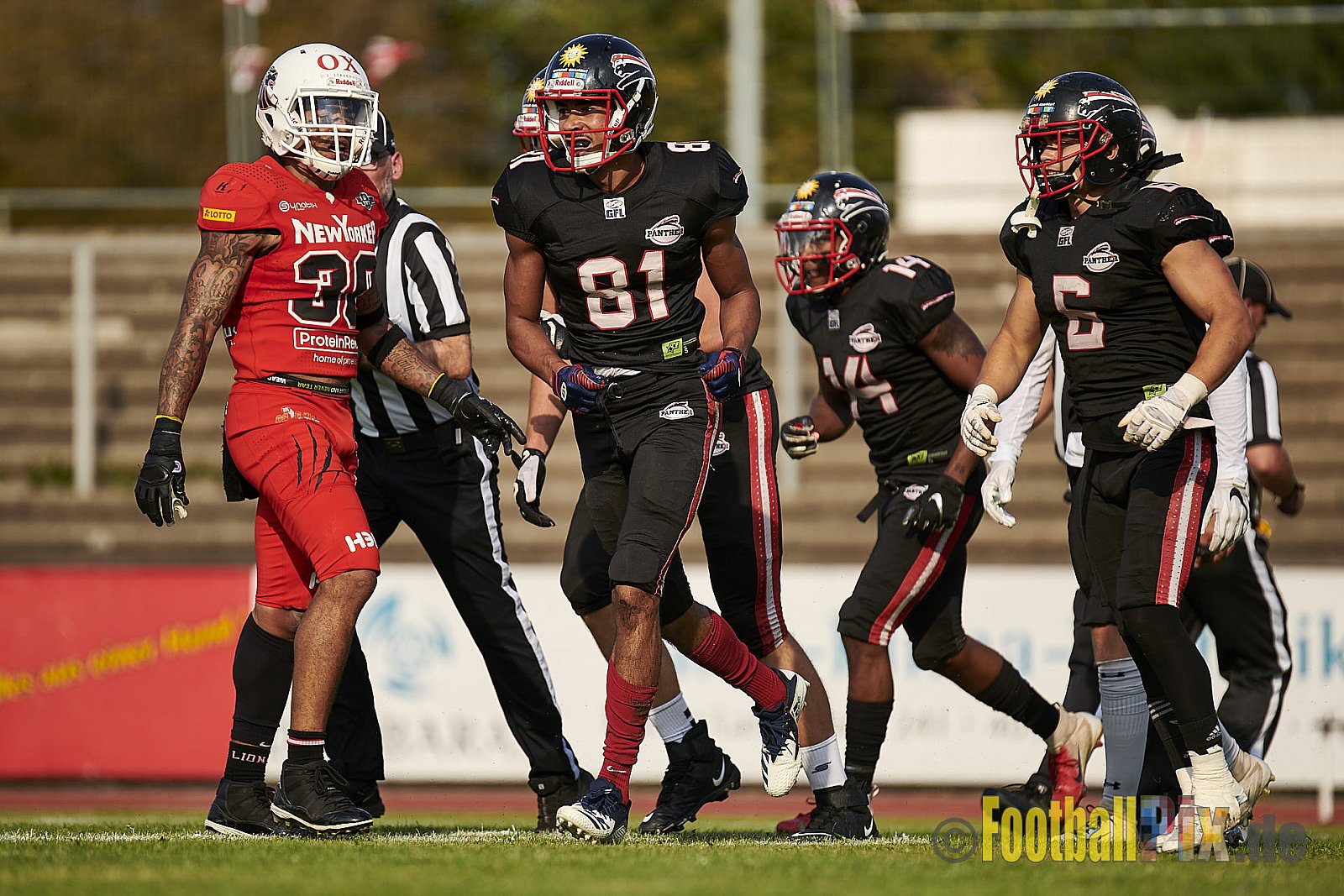Düsseldorf Panther vs. New Yorker Lions - DPantherVsNewYorkerLions