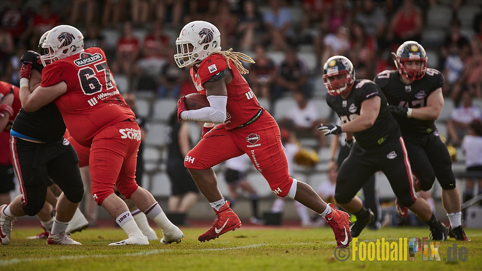Düsseldorf Panther vs. New Yorker Lions - DPantherVsNewYorkerLions