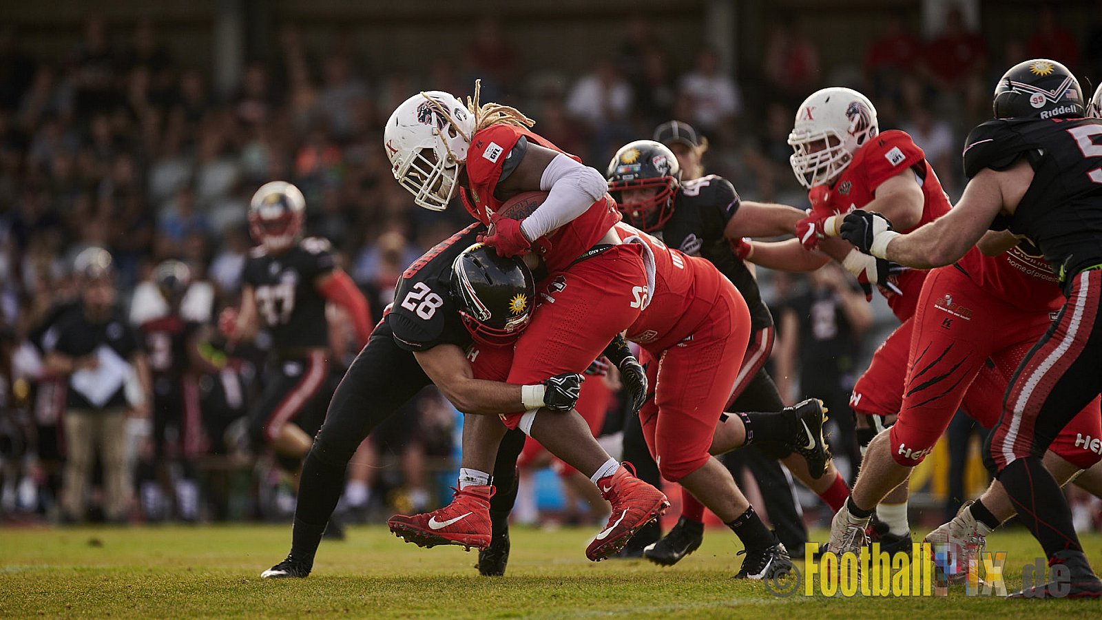Düsseldorf Panther vs. New Yorker Lions - DPantherVsNewYorkerLions