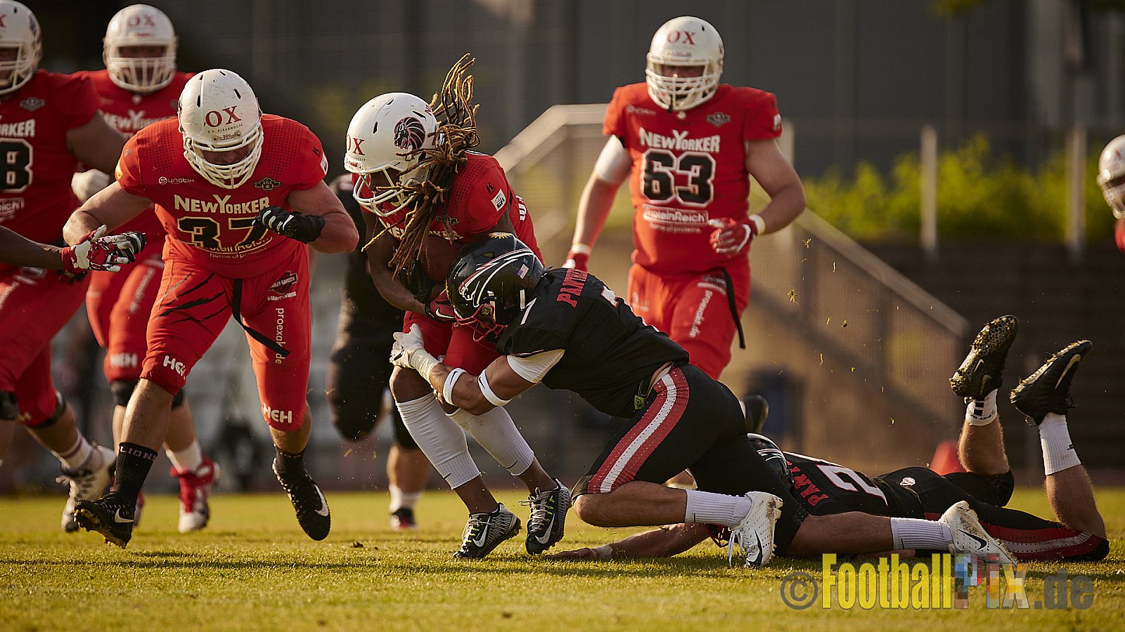 Düsseldorf Panther vs. New Yorker Lions - DPantherVsNewYorkerLions