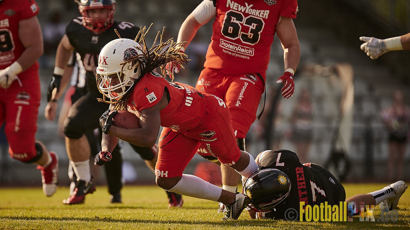 Düsseldorf Panther vs. New Yorker Lions - DPantherVsNewYorkerLions