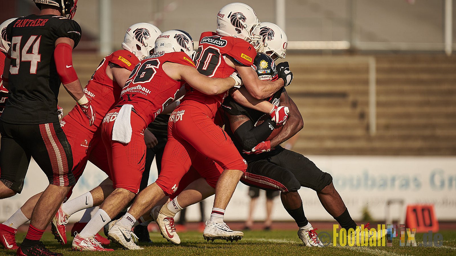 Düsseldorf Panther vs. New Yorker Lions - DPantherVsNewYorkerLions