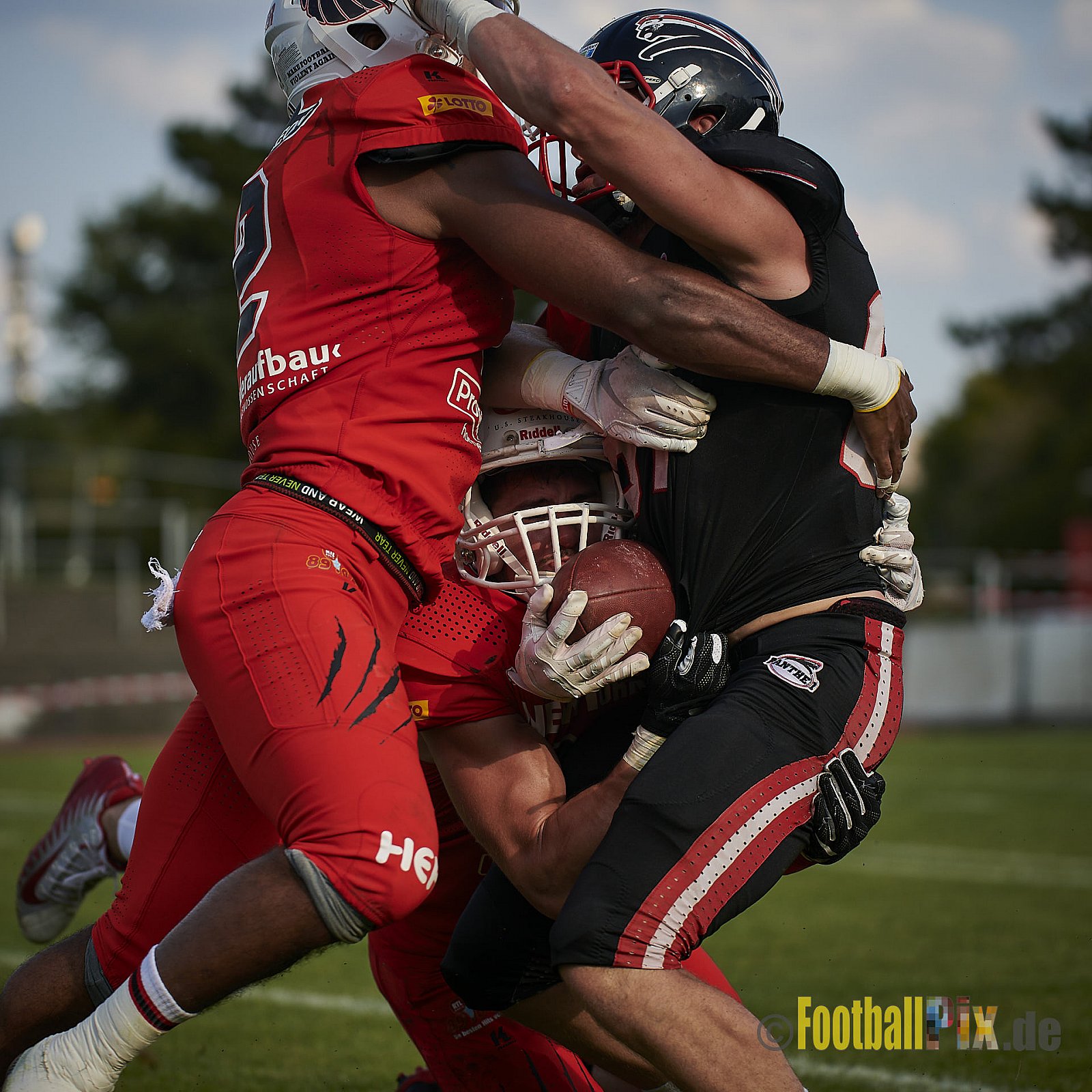 Düsseldorf Panther vs. New Yorker Lions - DPantherVsNewYorkerLions