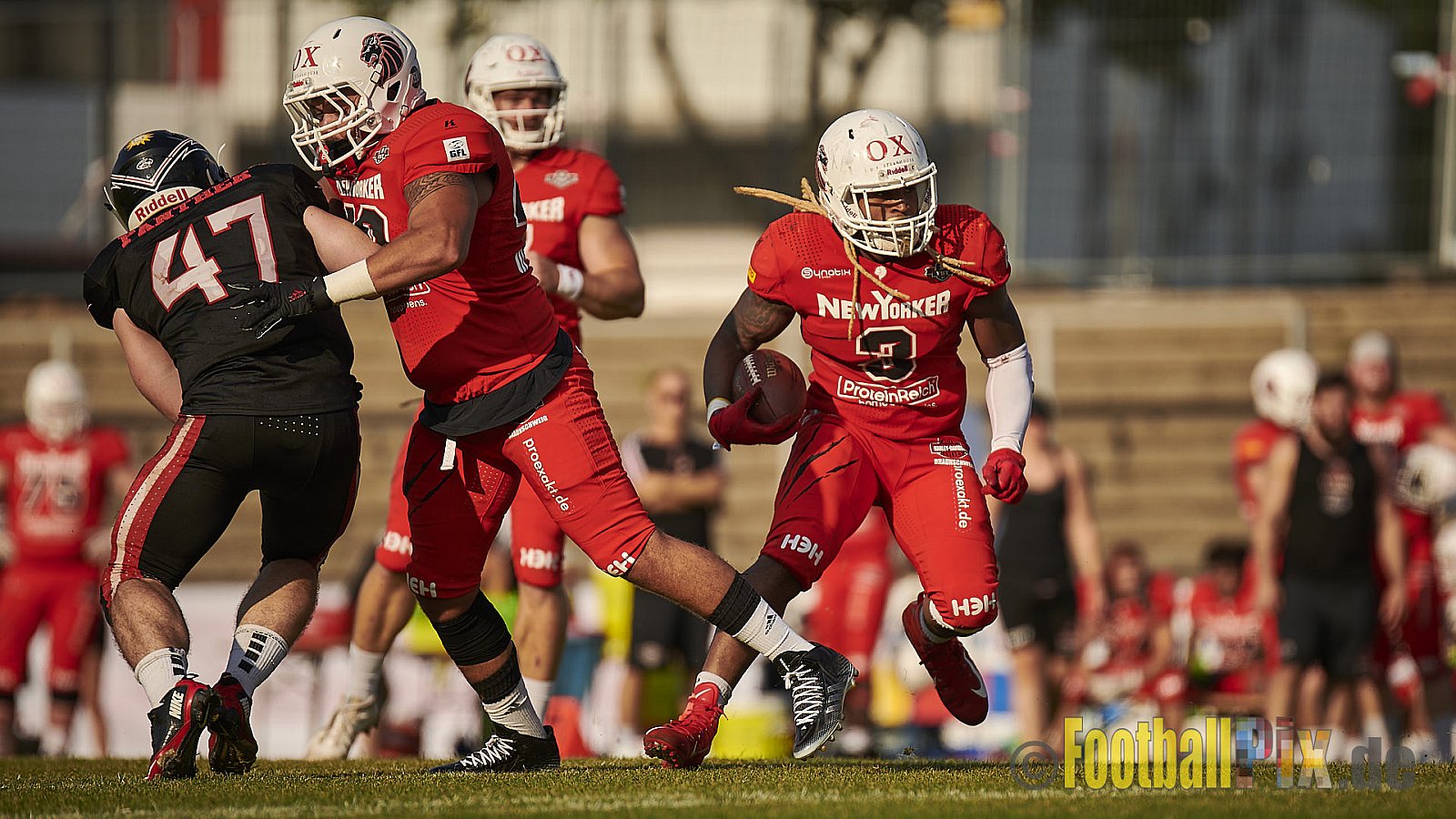Düsseldorf Panther vs. New Yorker Lions - DPantherVsNewYorkerLions